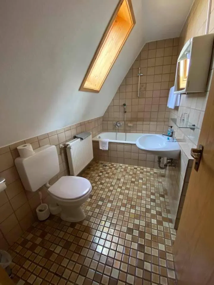 Toilet in Hotel-Gasthof "Alter Ritter"