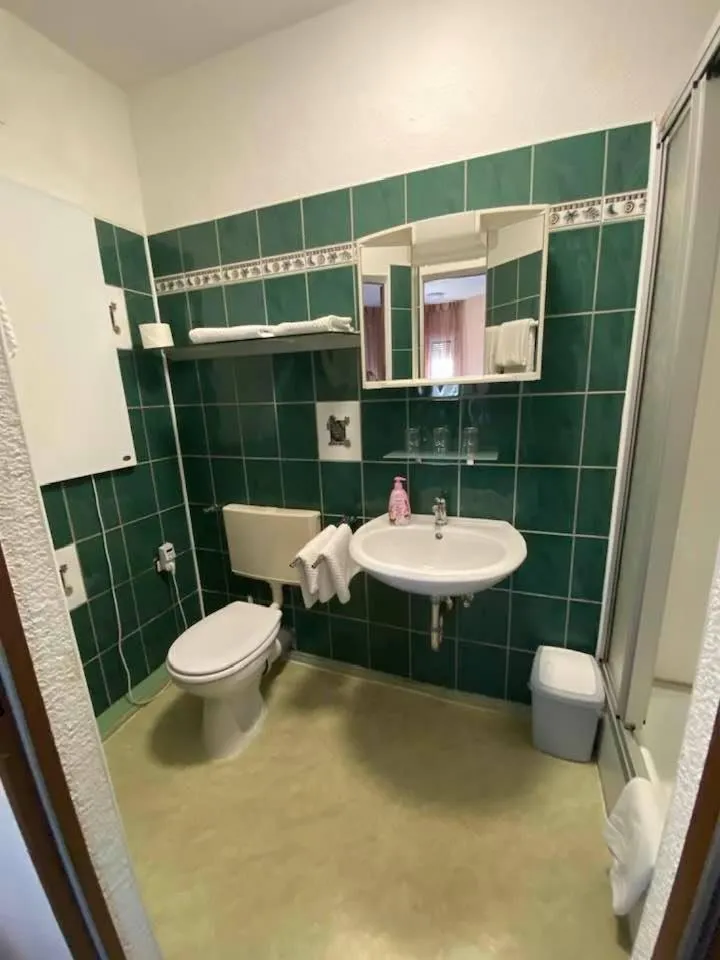 Bathroom in Hotel-Gasthof "Alter Ritter"