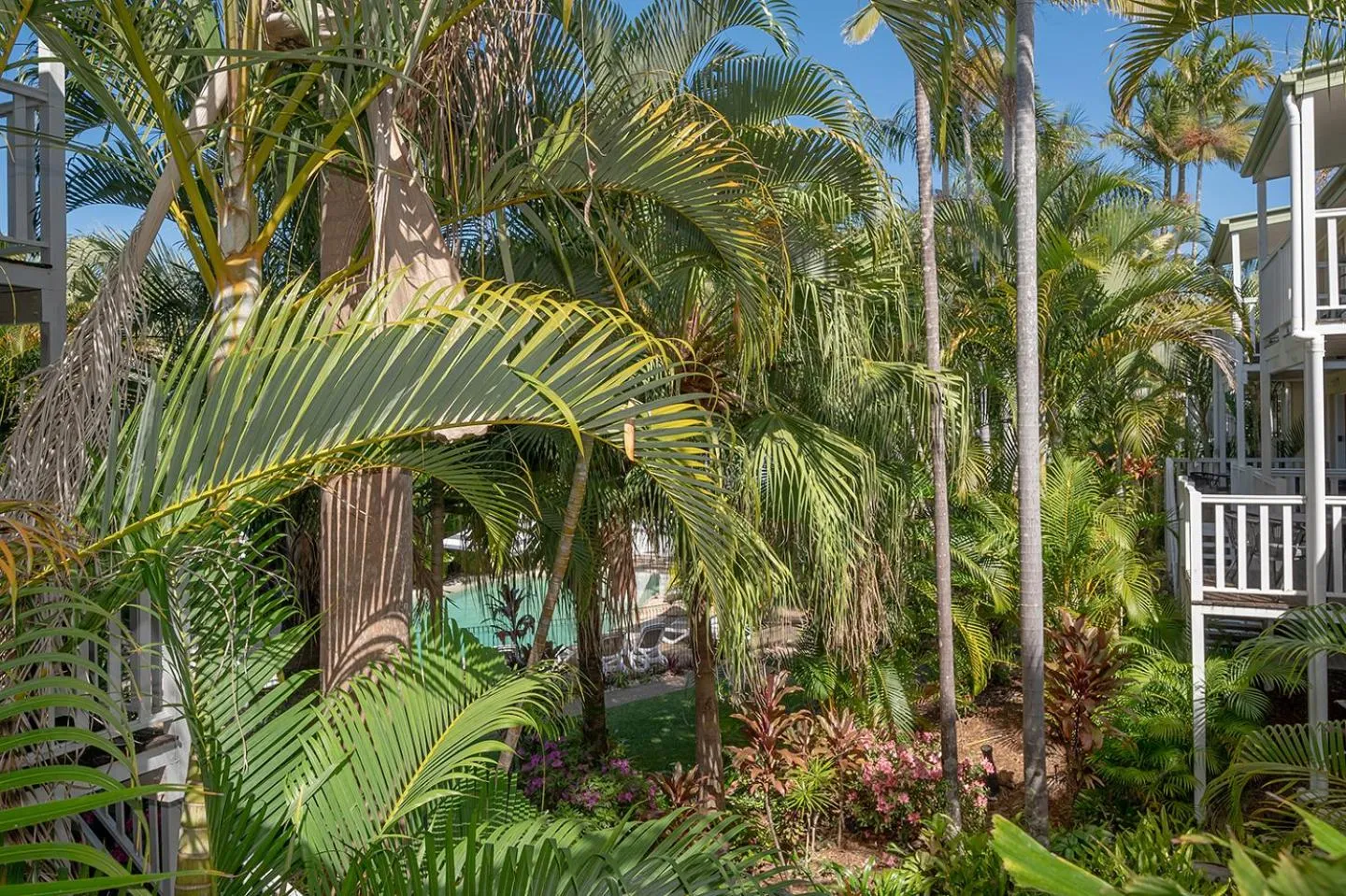 View (from property/room) in Sandy Beach Resort