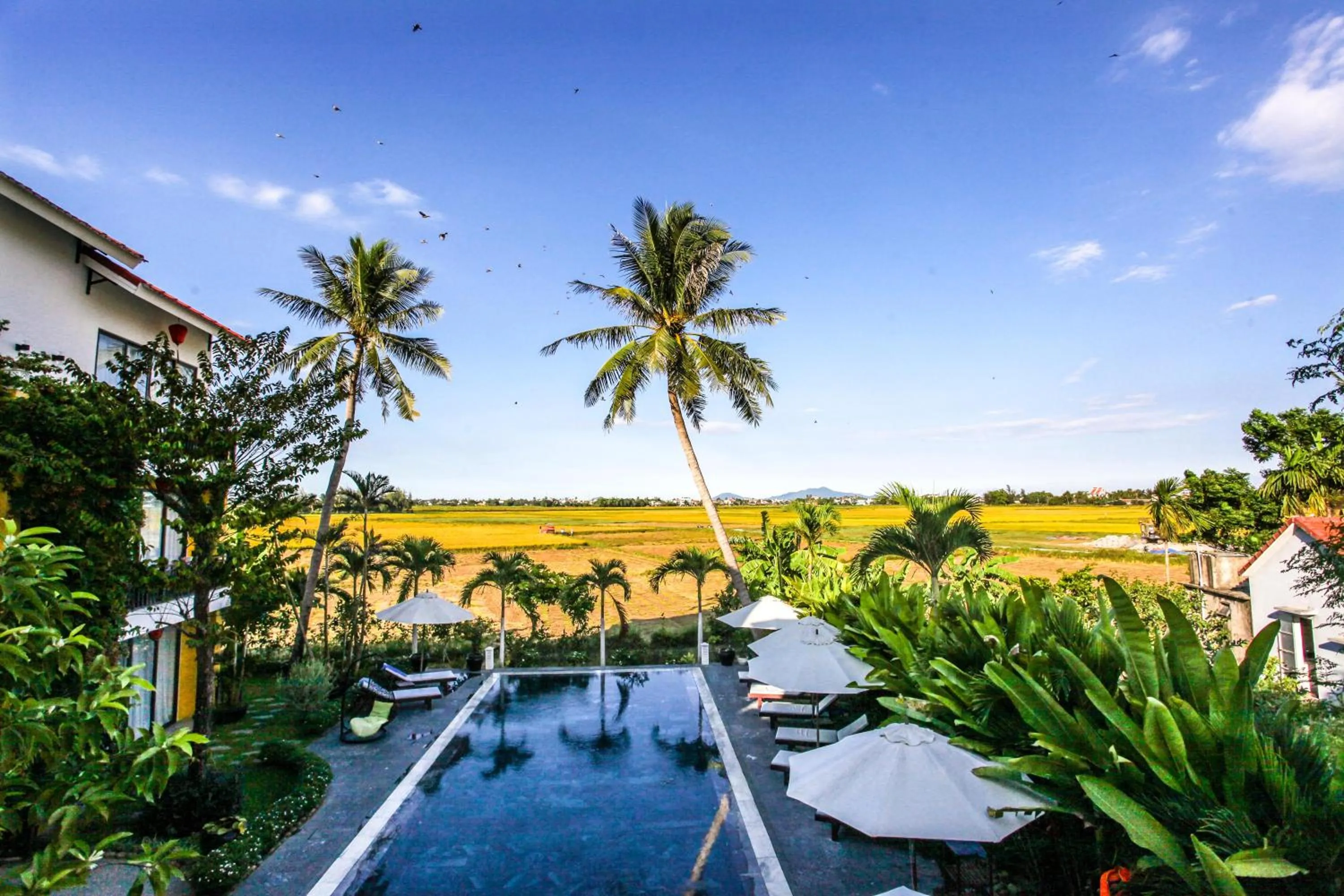 Garden view in Hoi An Four Seasons Villa
