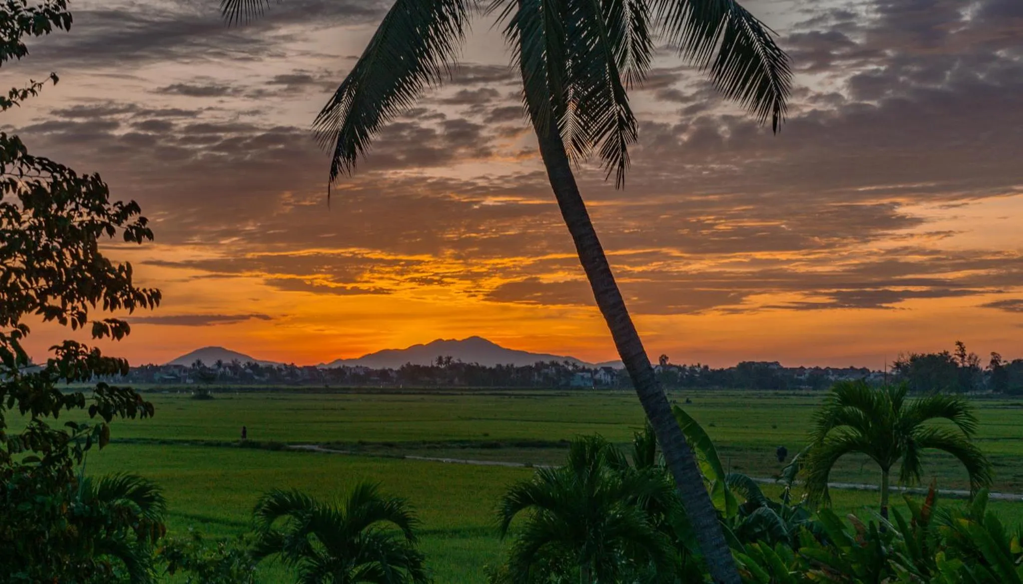 Garden view in Hoi An Four Seasons Villa