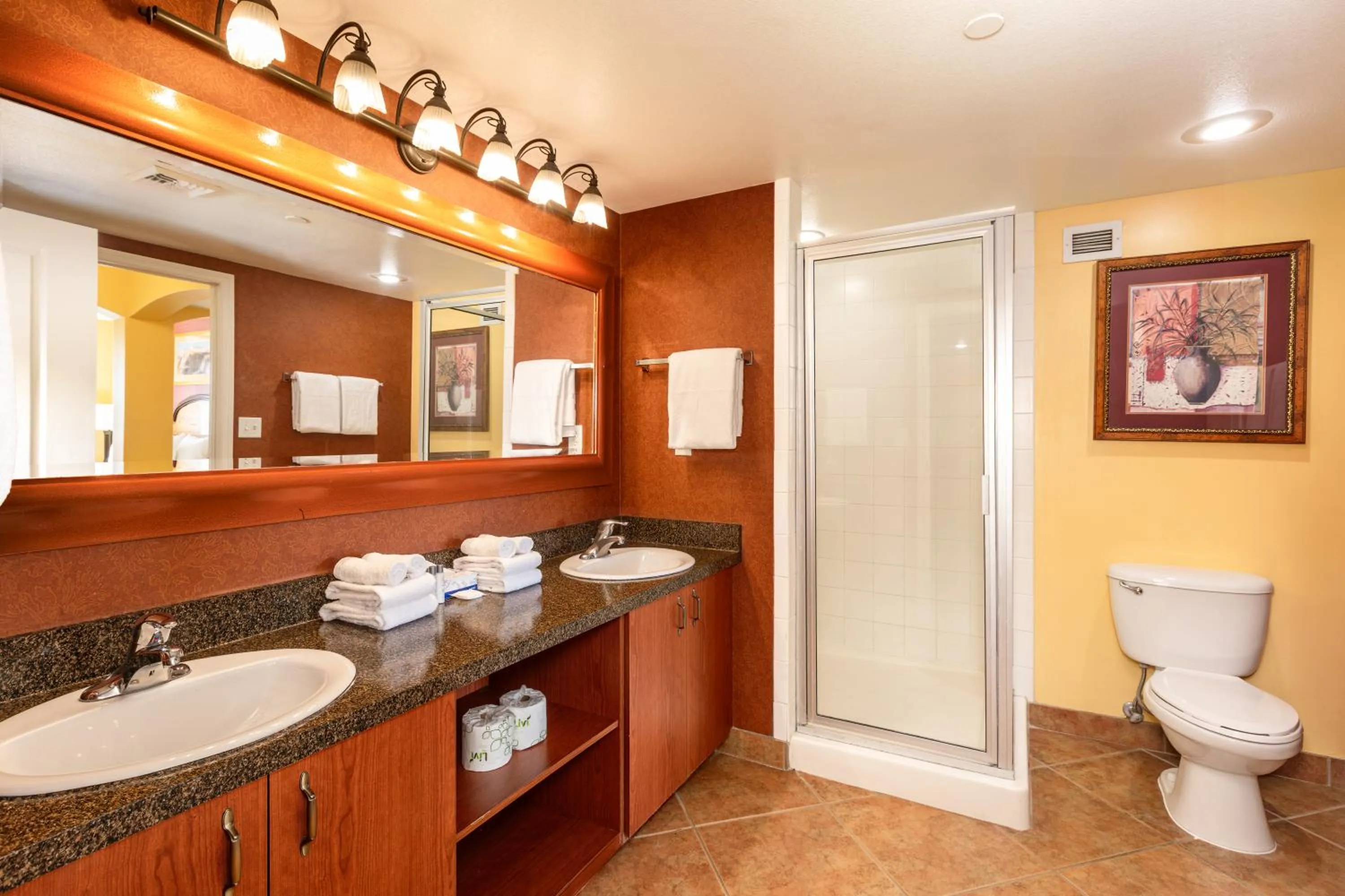 Shower in The Grandview at Las Vegas