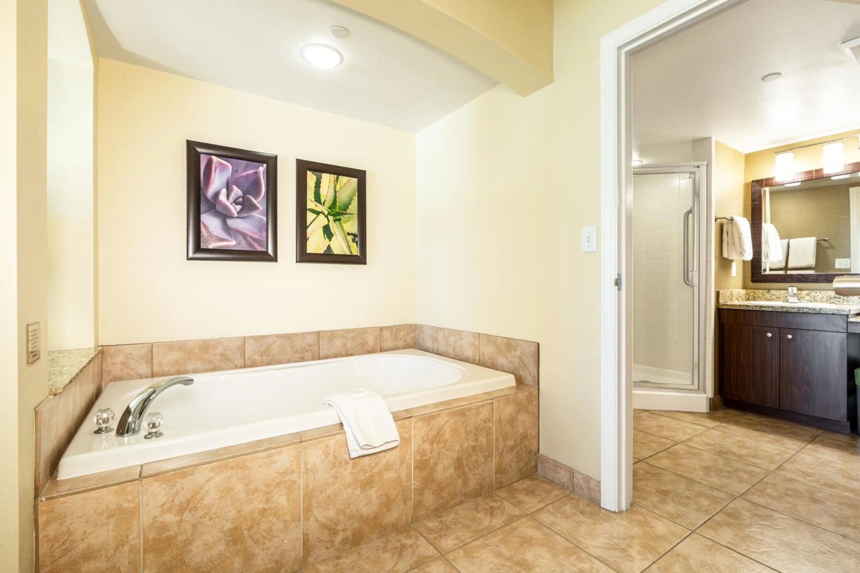 Bath in The Grandview at Las Vegas