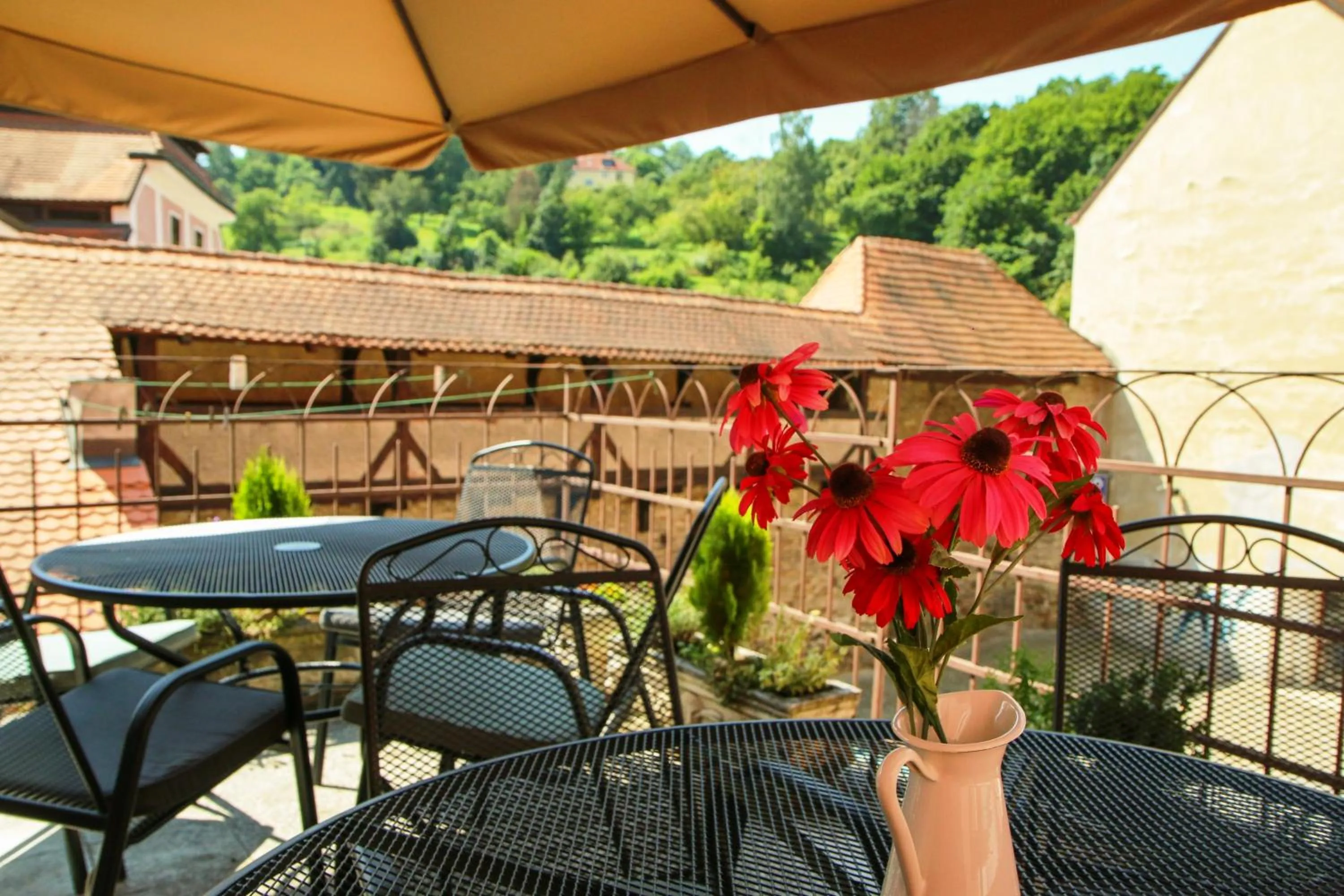 Balcony/Terrace in Mini Hotel Abraka & Apartments