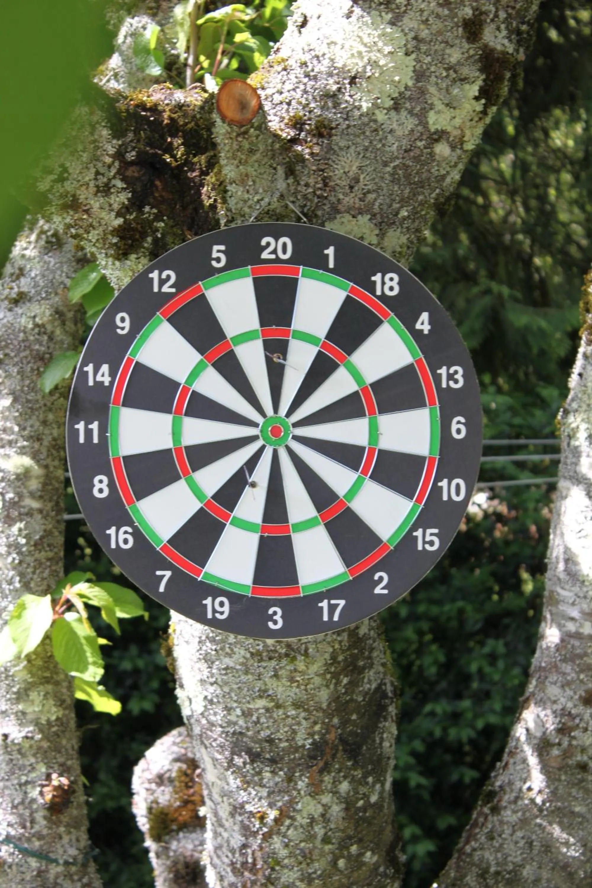 Darts in Au fil du temps