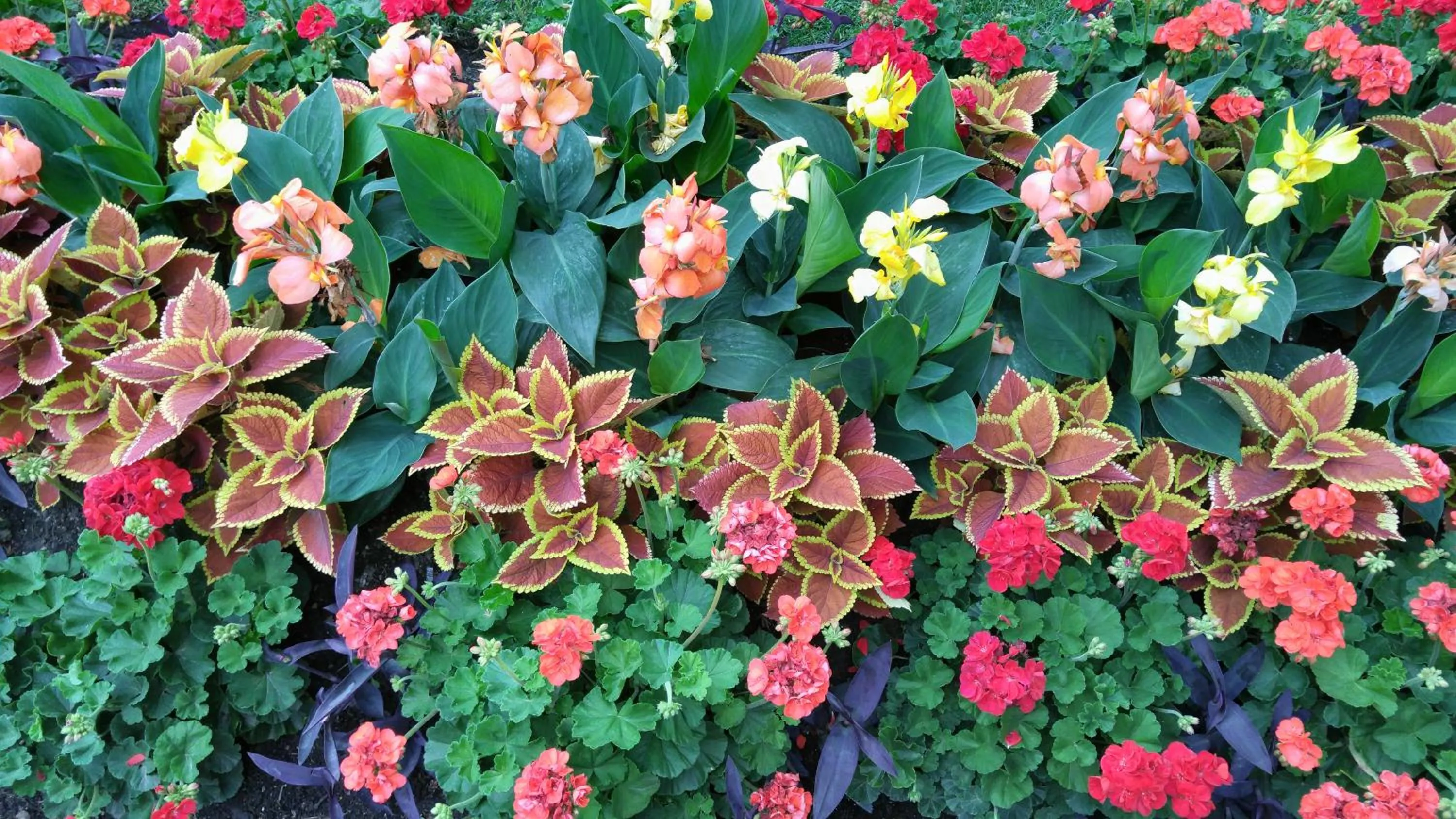 Natural landscape in The White House Boutique B&B