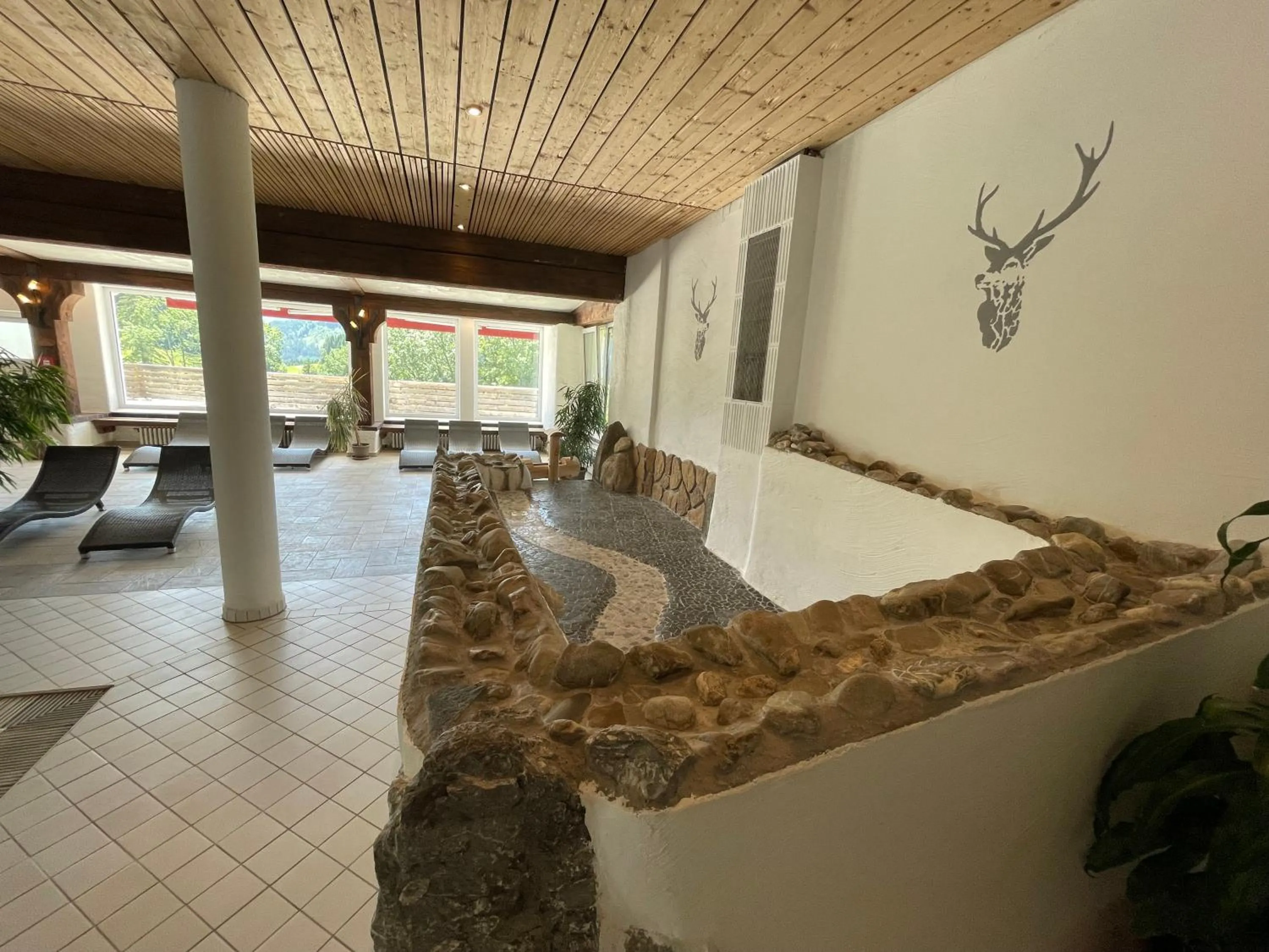 Swimming pool in Berghoteltirol