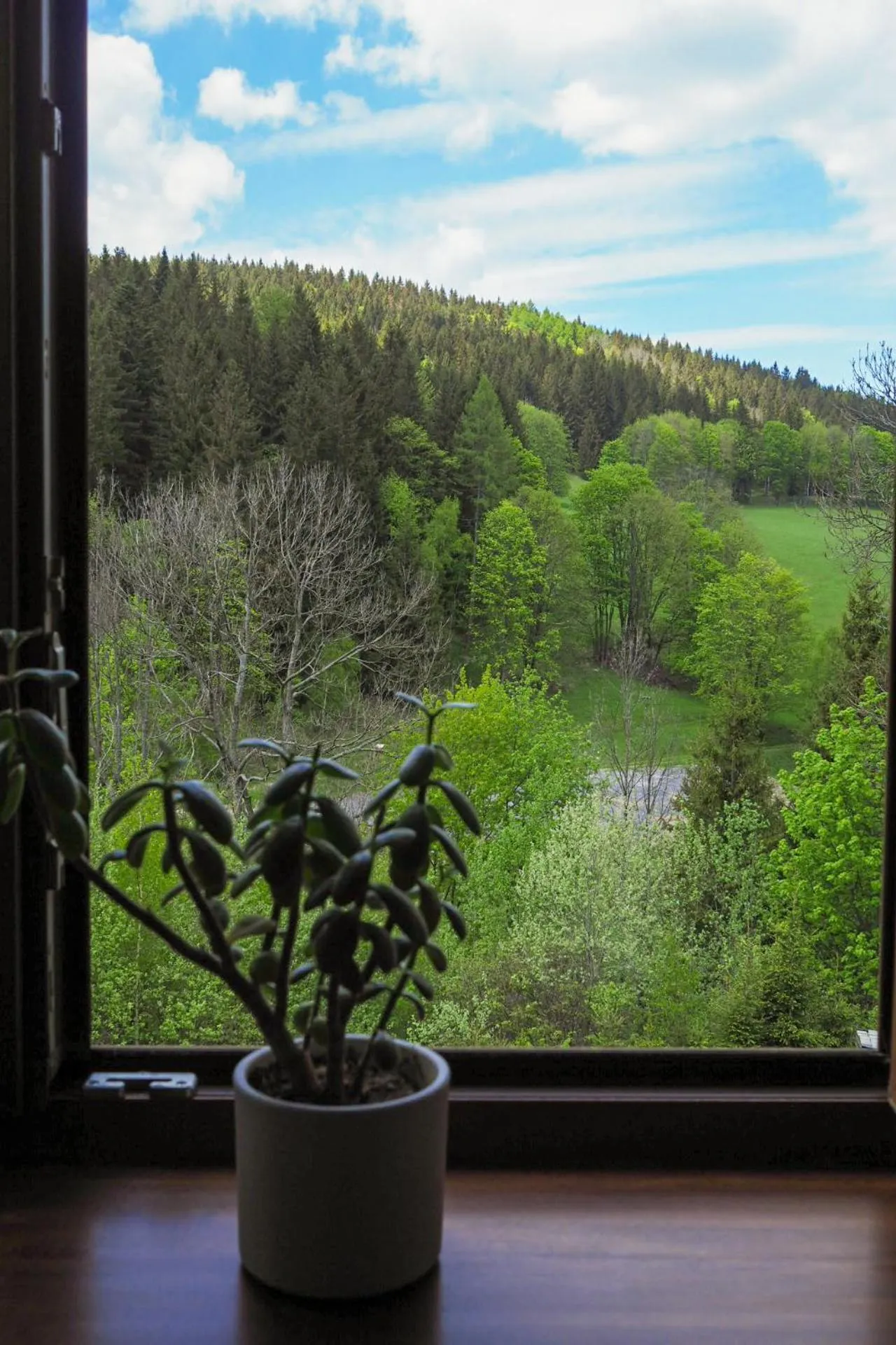 Mountain view in Willa Rudy