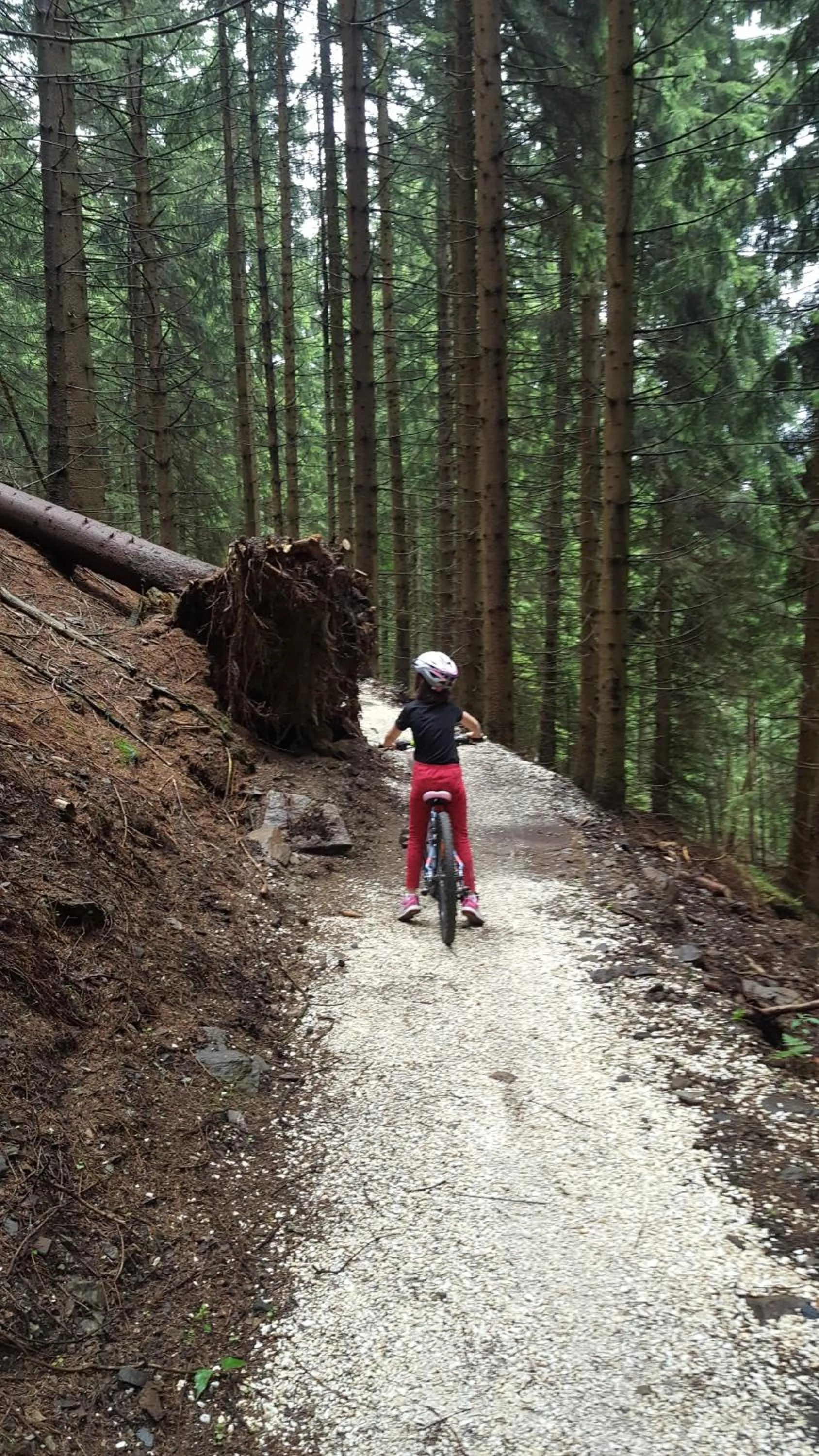 Off site in Willa Rudy