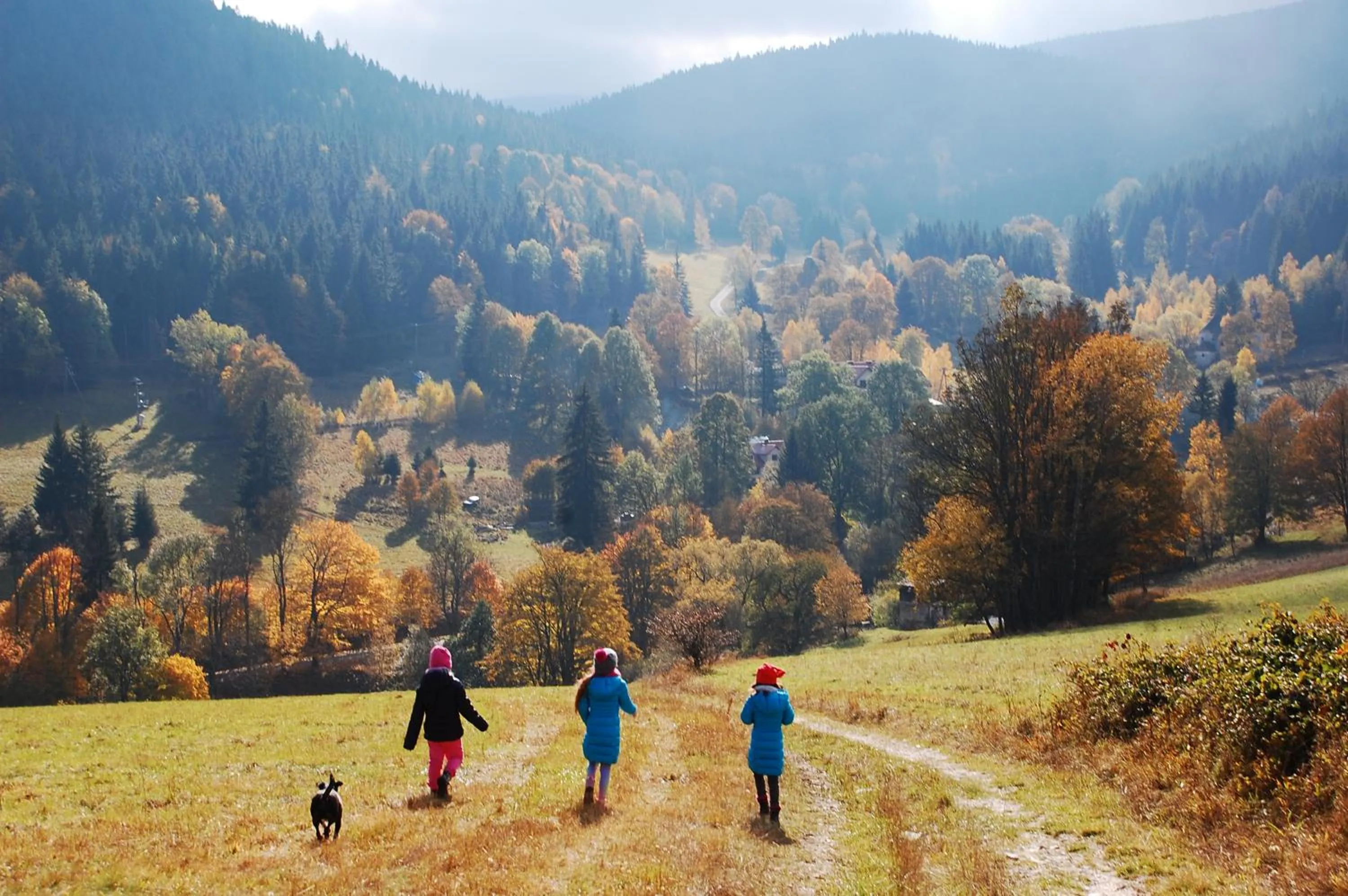 Neighbourhood in Willa Rudy