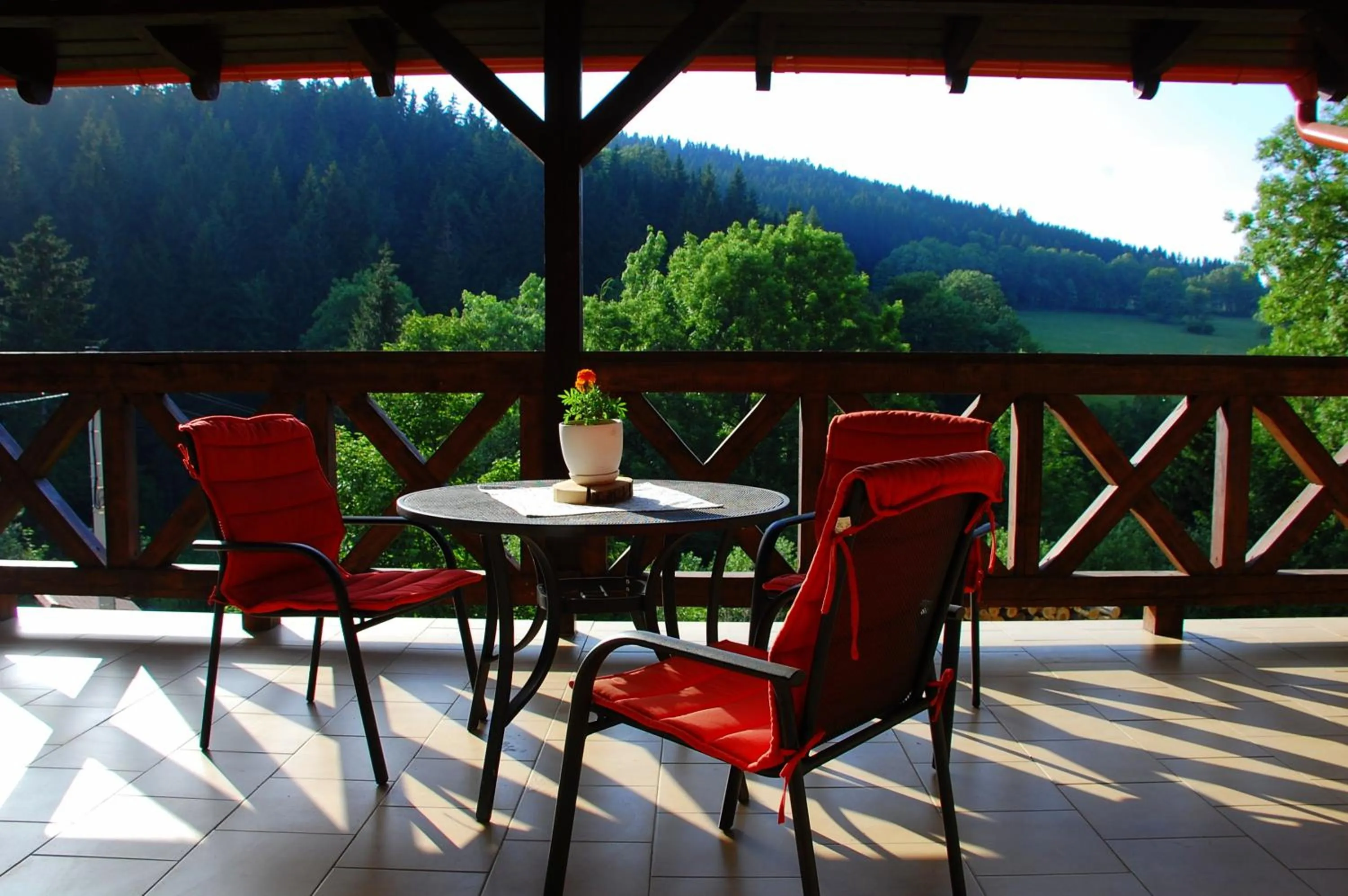 Summer in Willa Rudy