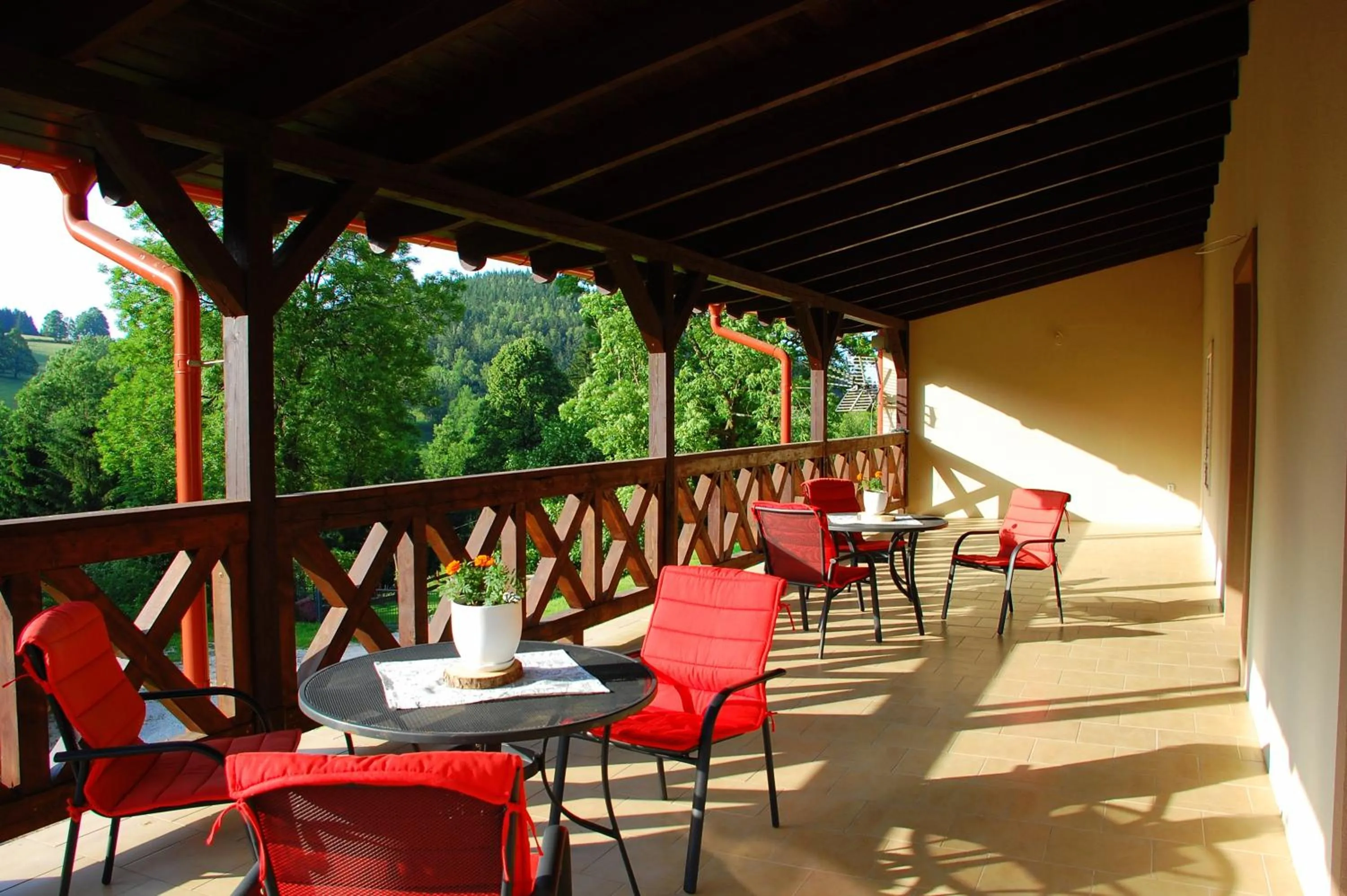 Summer in Willa Rudy