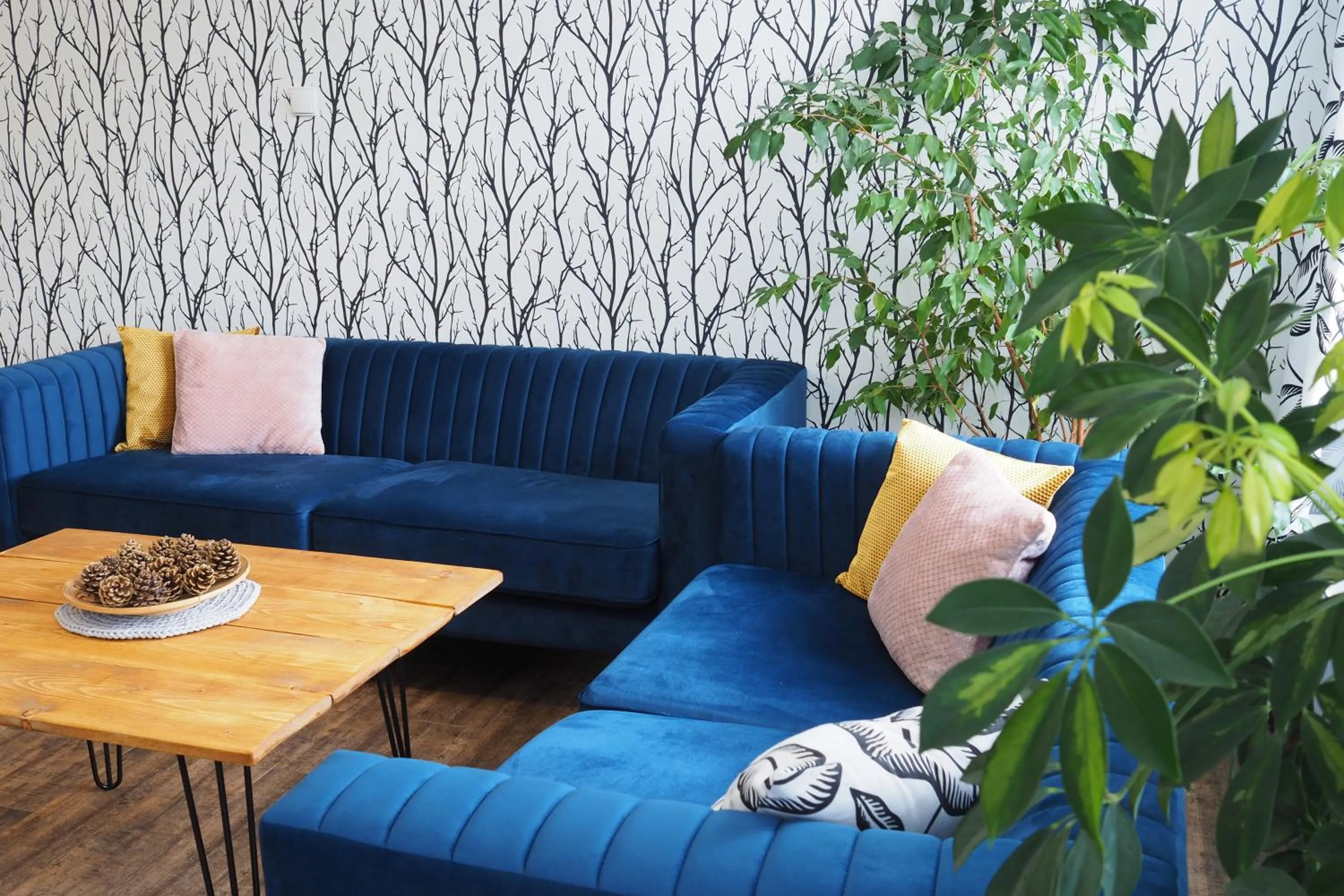 Communal lounge/ TV room in Willa Rudy