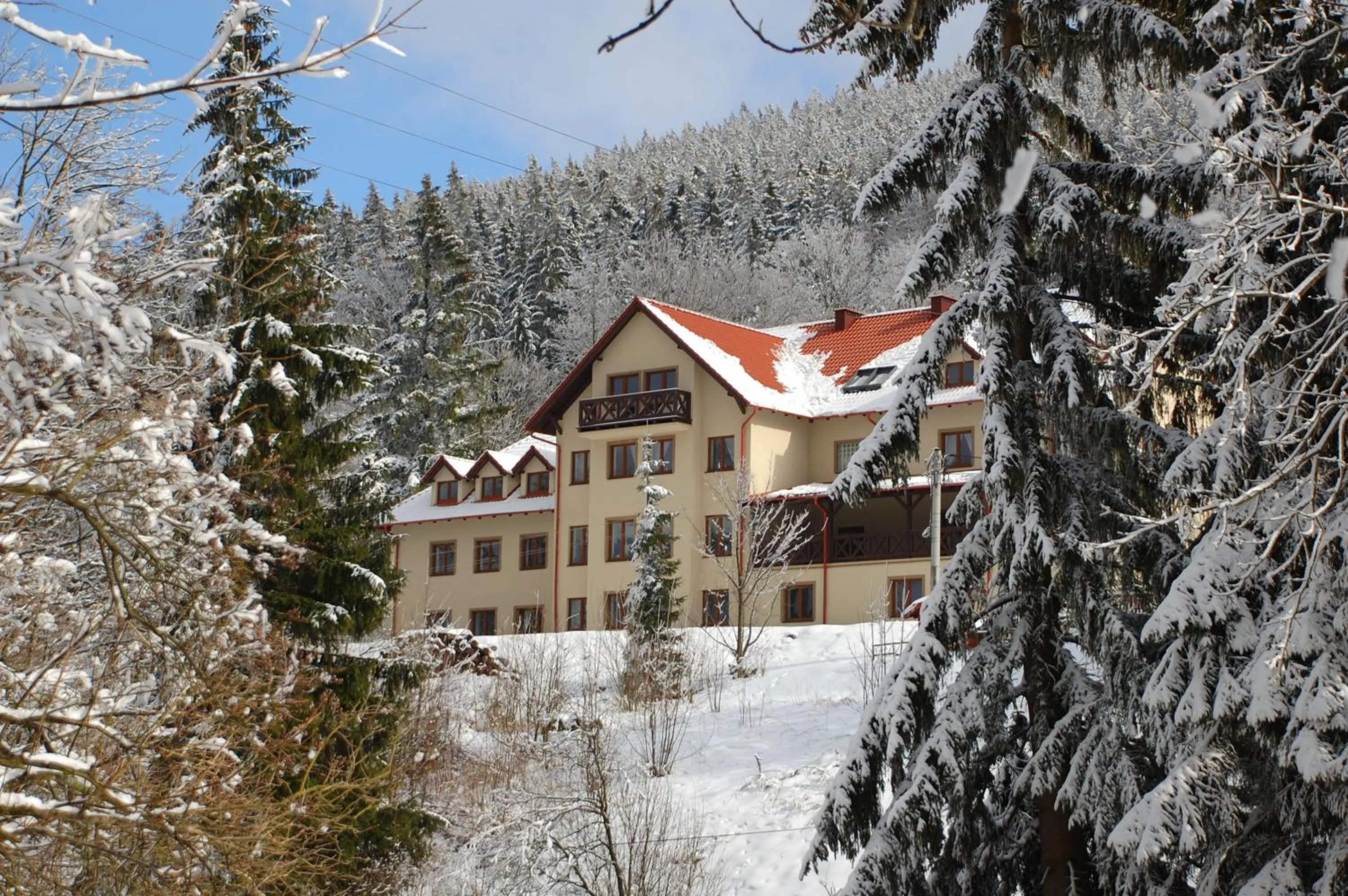 Property building in Willa Rudy