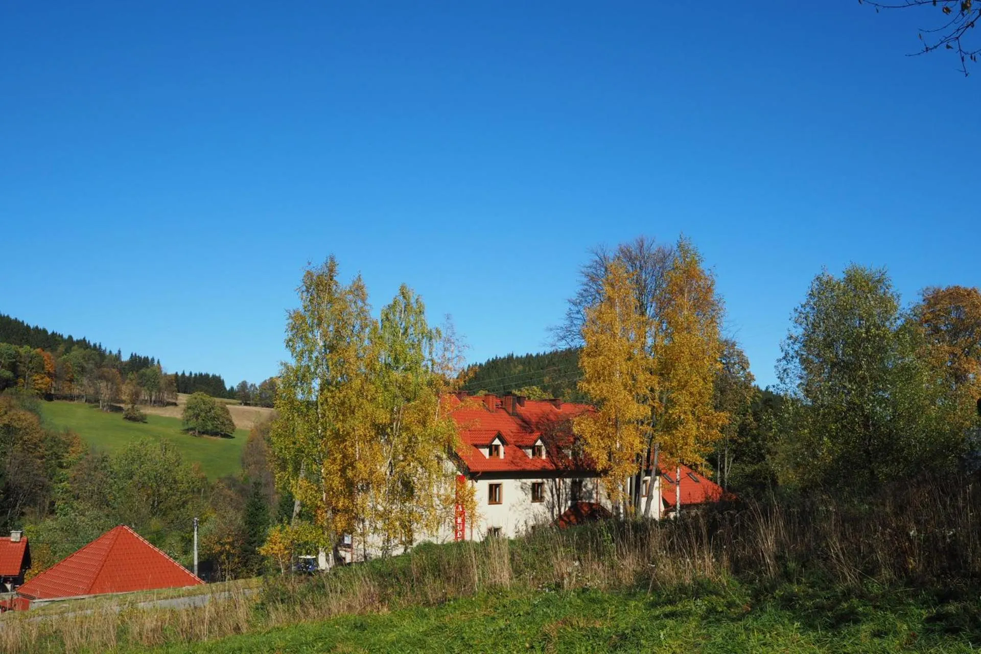 Property building in Willa Rudy