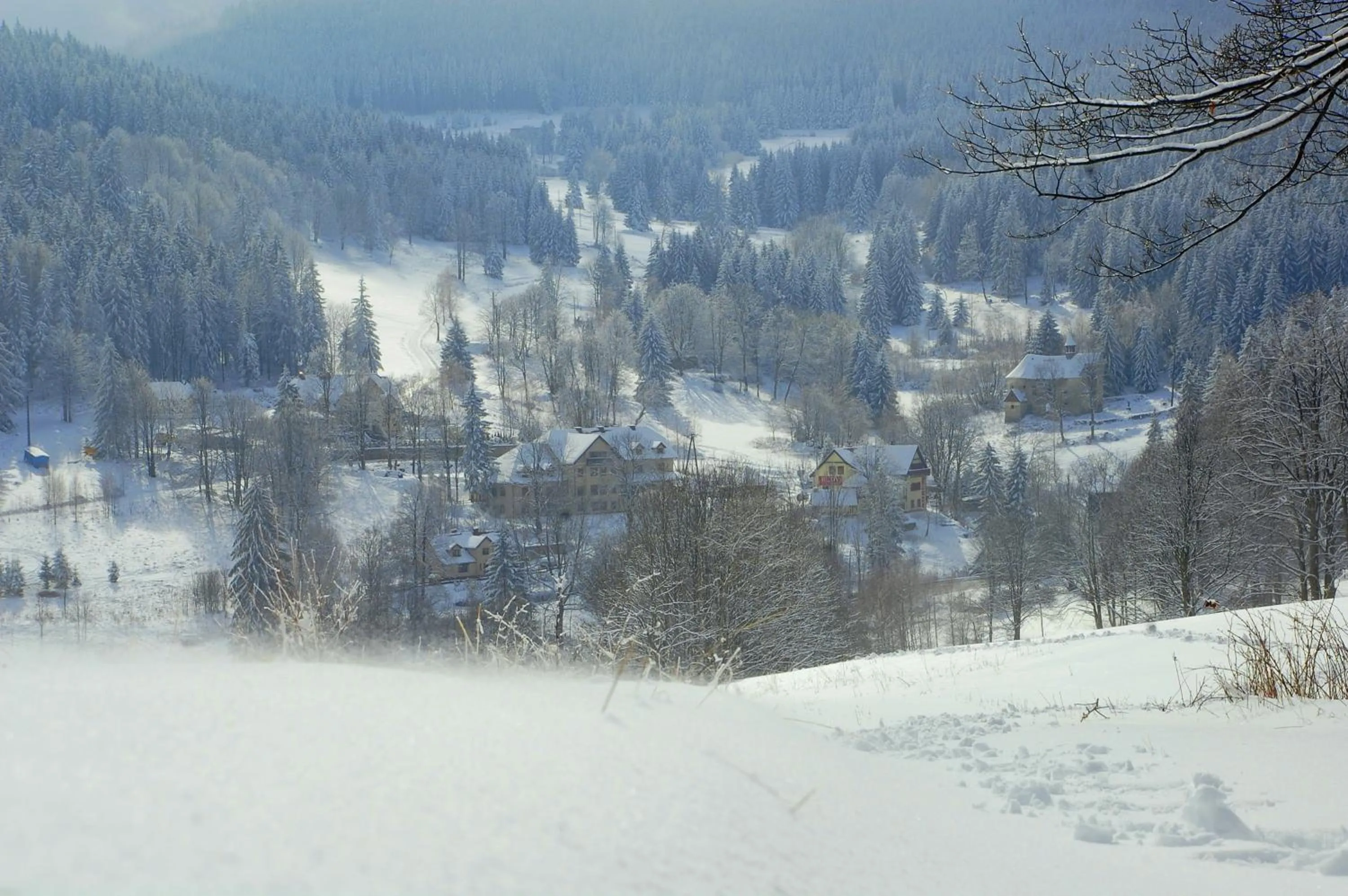 Neighbourhood in Willa Rudy