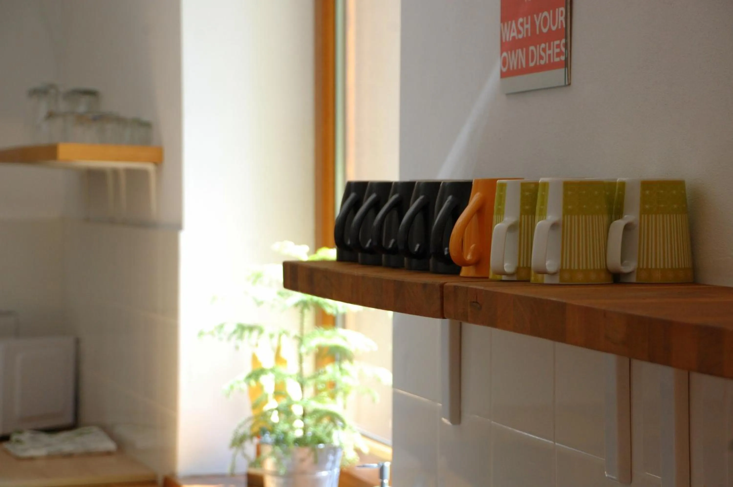 Communal kitchen in Willa Rudy