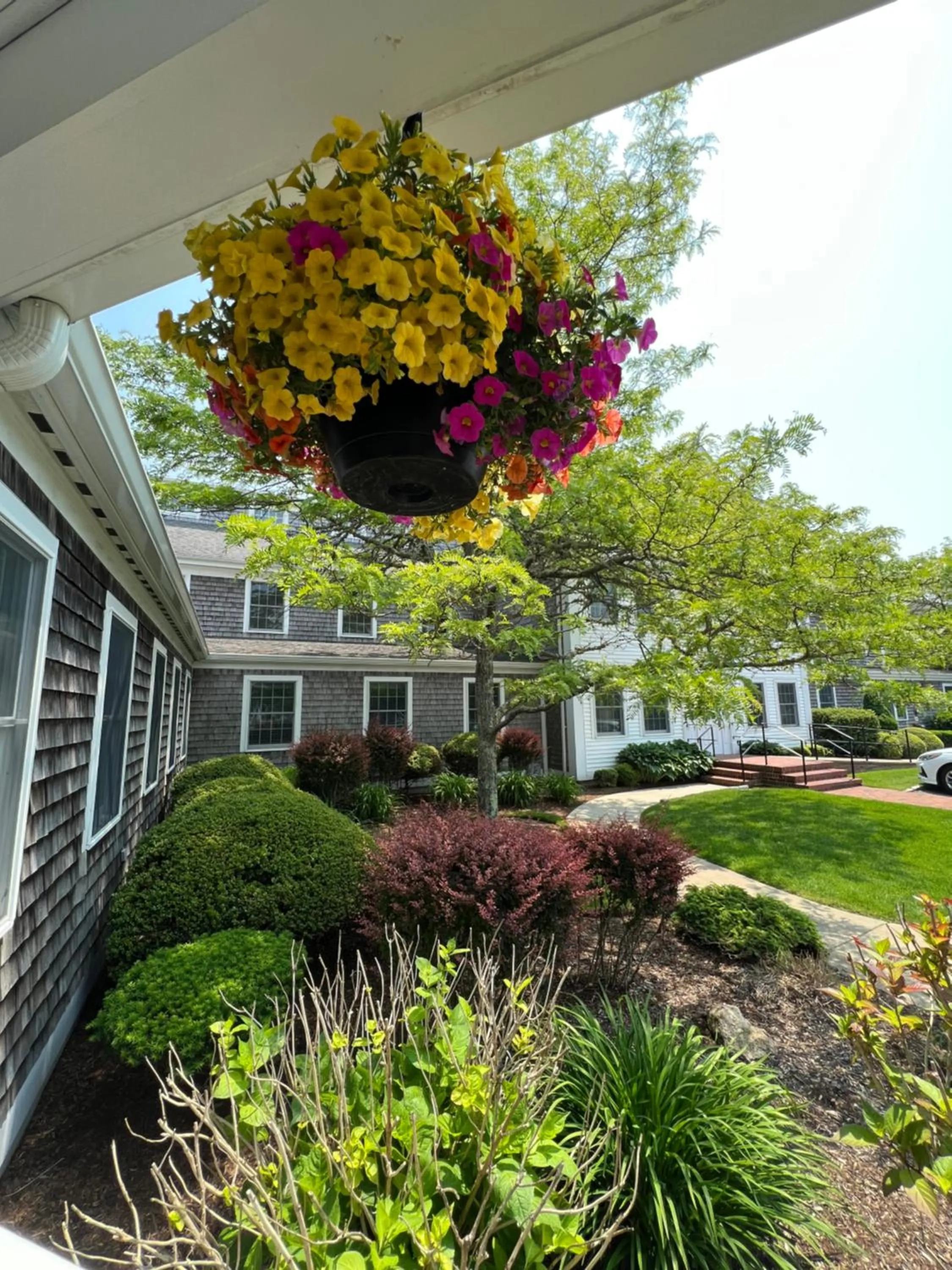 Queen Room - single occupancy in Chatham Wayside Inn