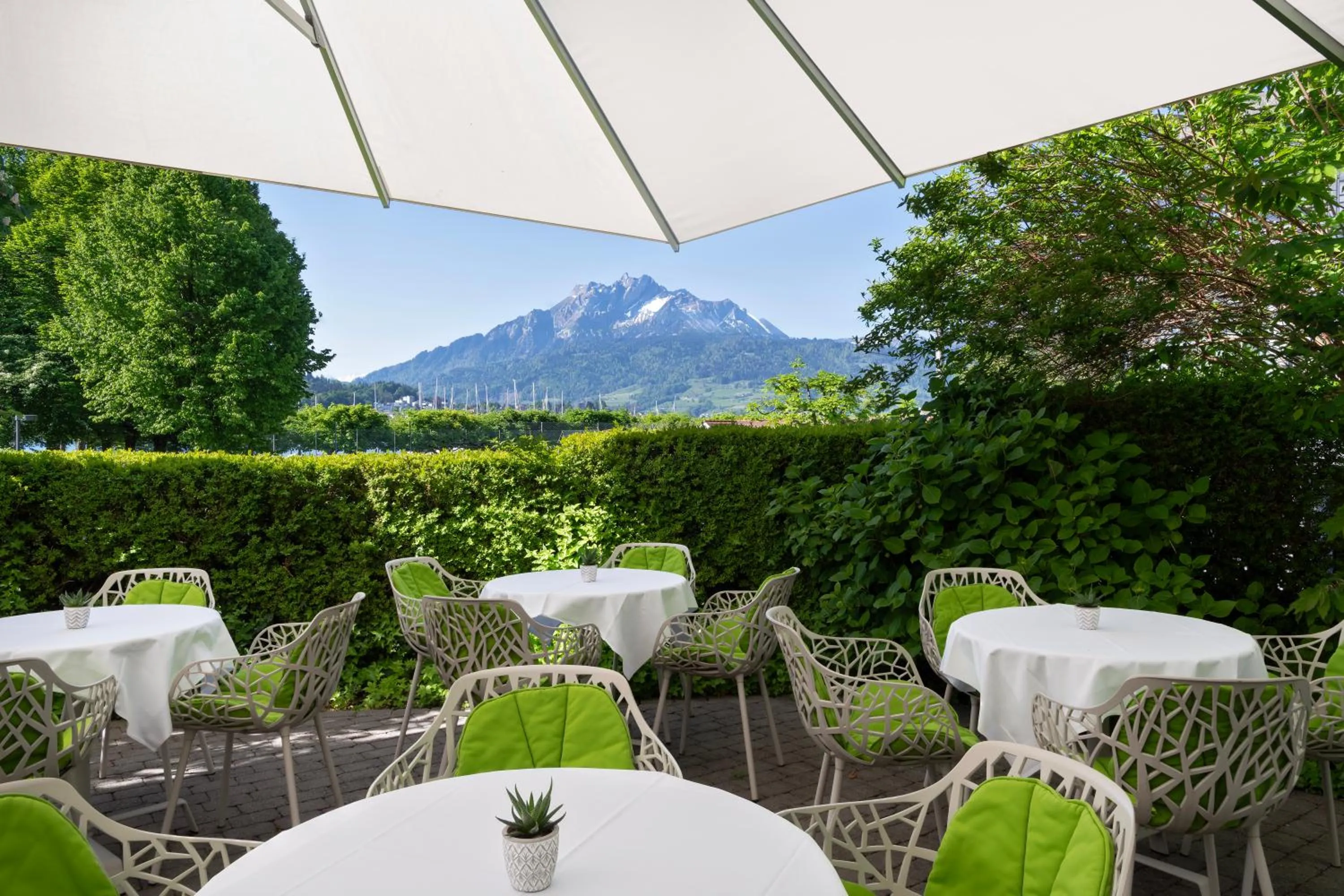 Garden in Grand Hotel Europe