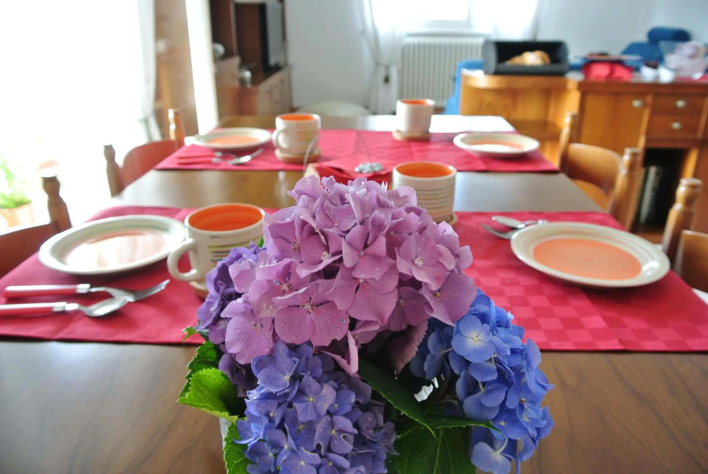 Continental breakfast in B&B SARI
