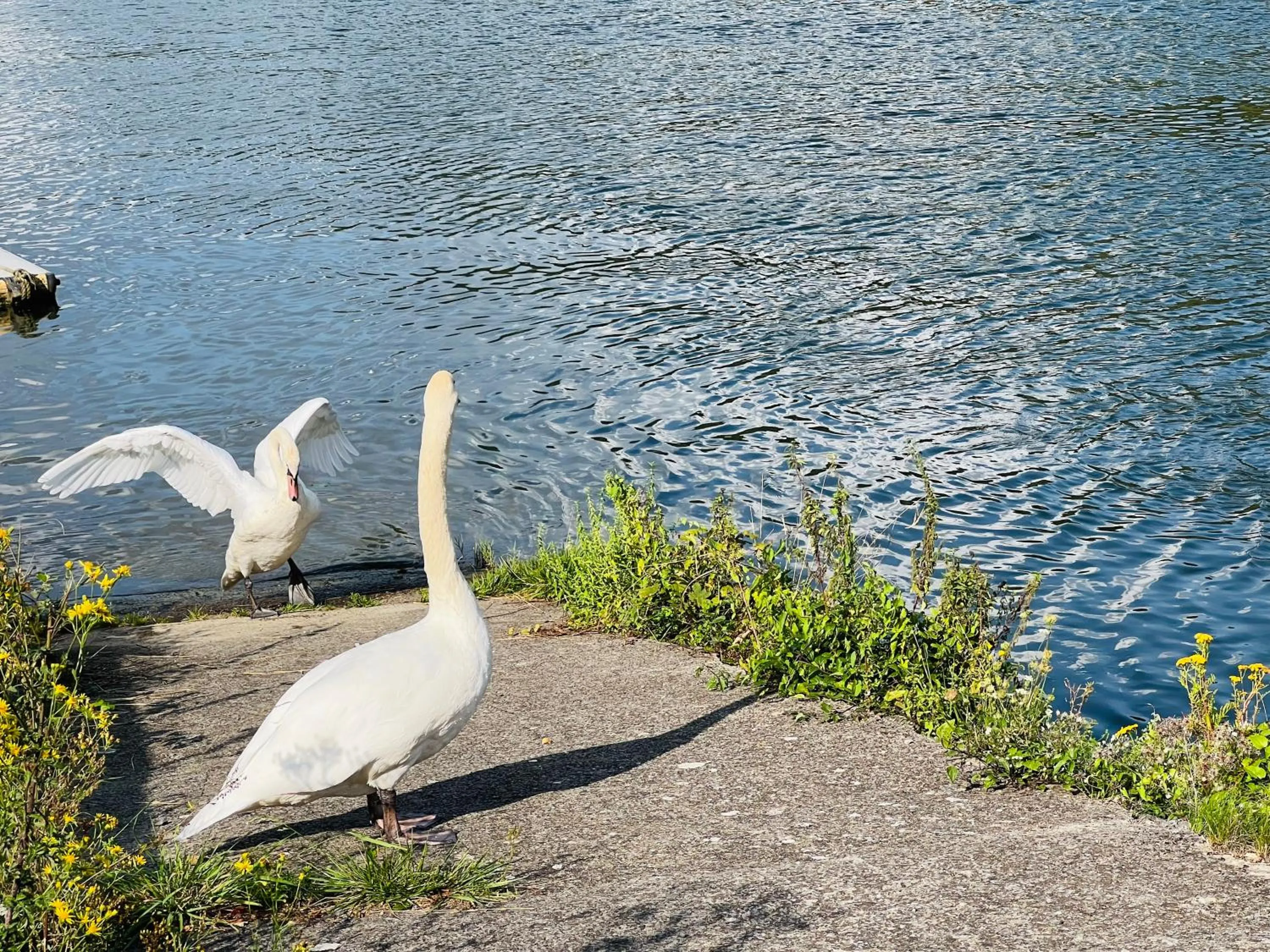 Mes Caprices B&B Villa Mosan Bord de Meuse