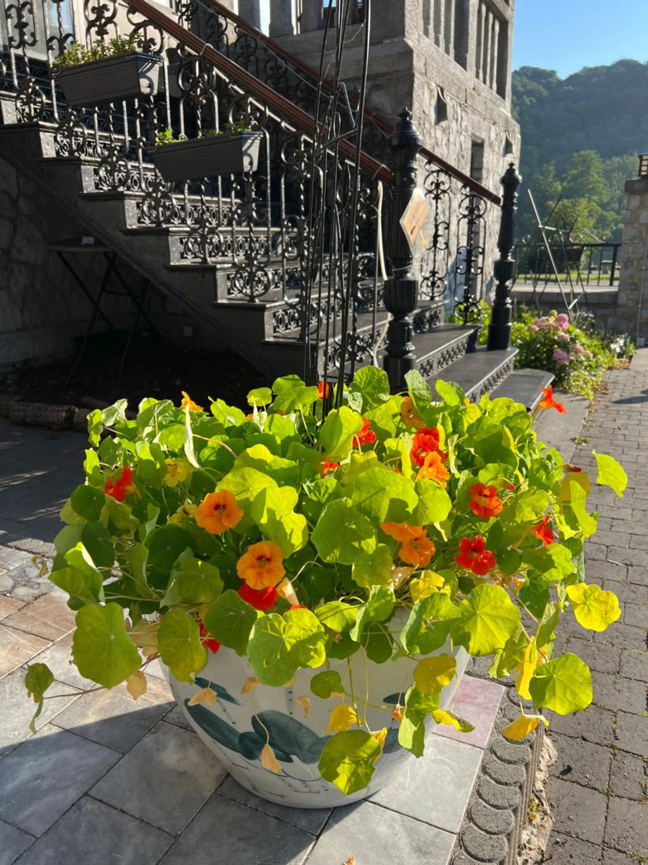 Mes Caprices B&B Villa Mosan Bord de Meuse