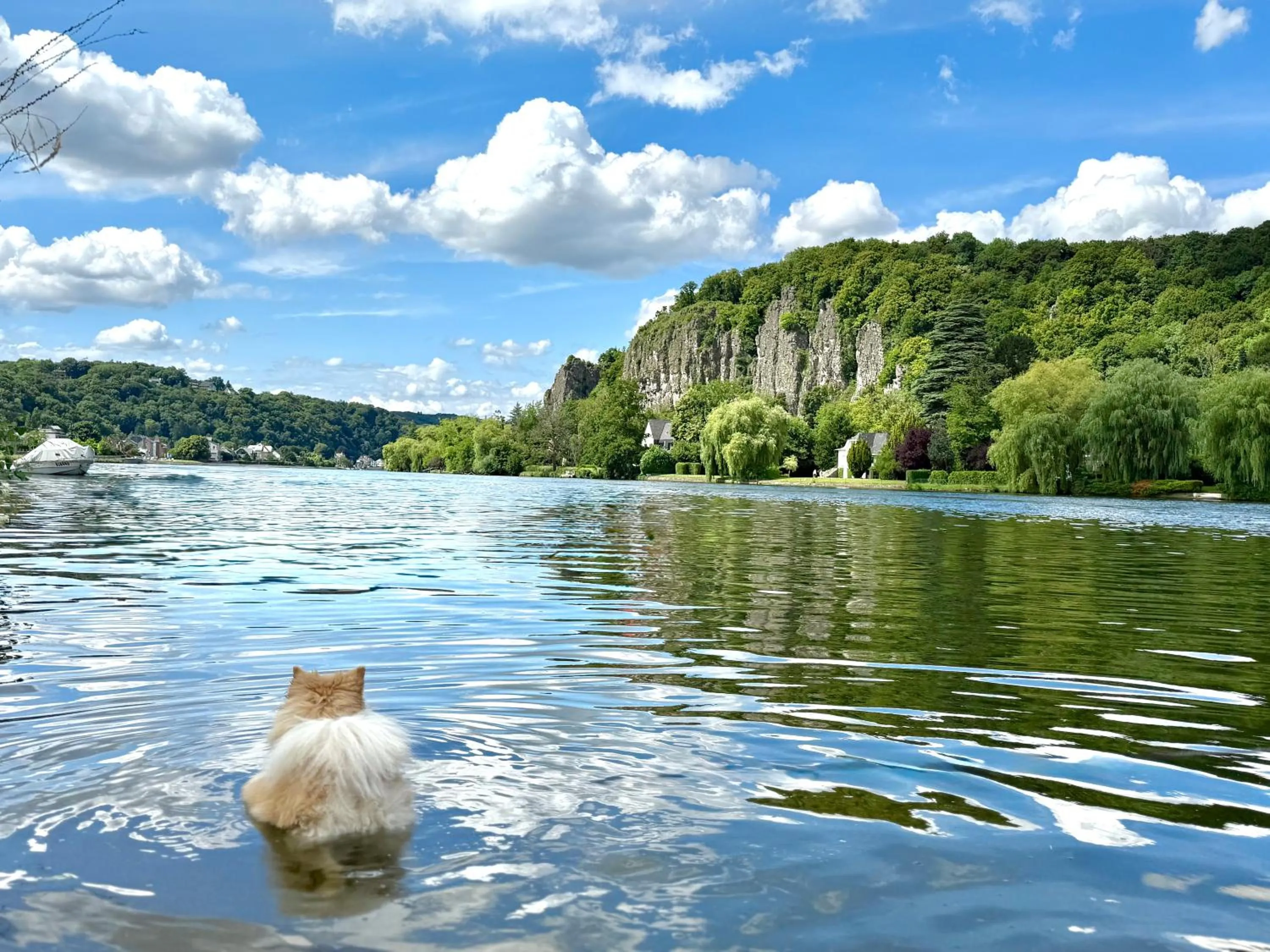 Mes Caprices B&B Villa Mosan Bord de Meuse