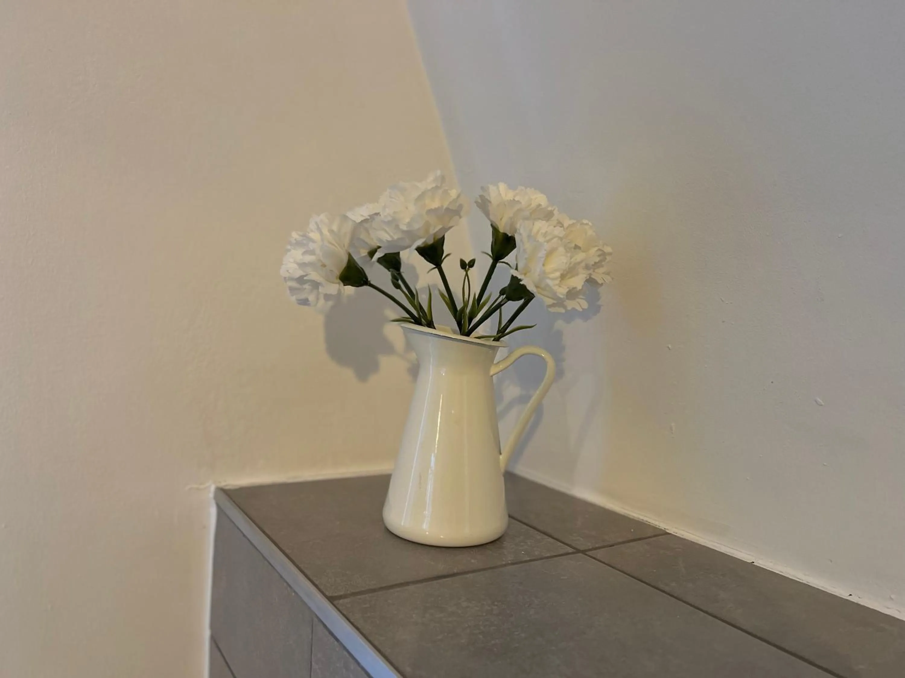 Mes Caprices B&B Villa Mosan Bord de Meuse