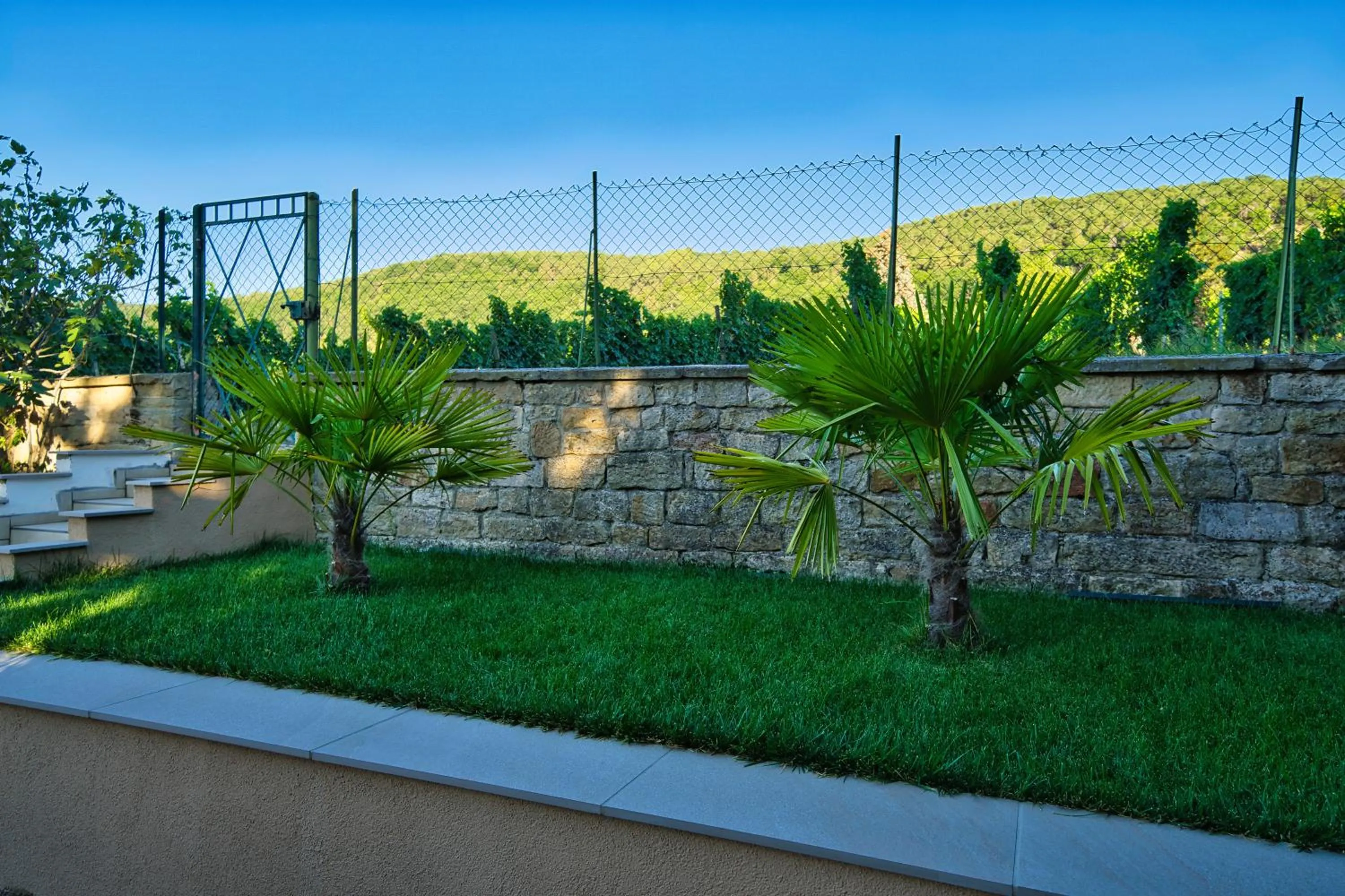 Garden in Hotel Tenner
