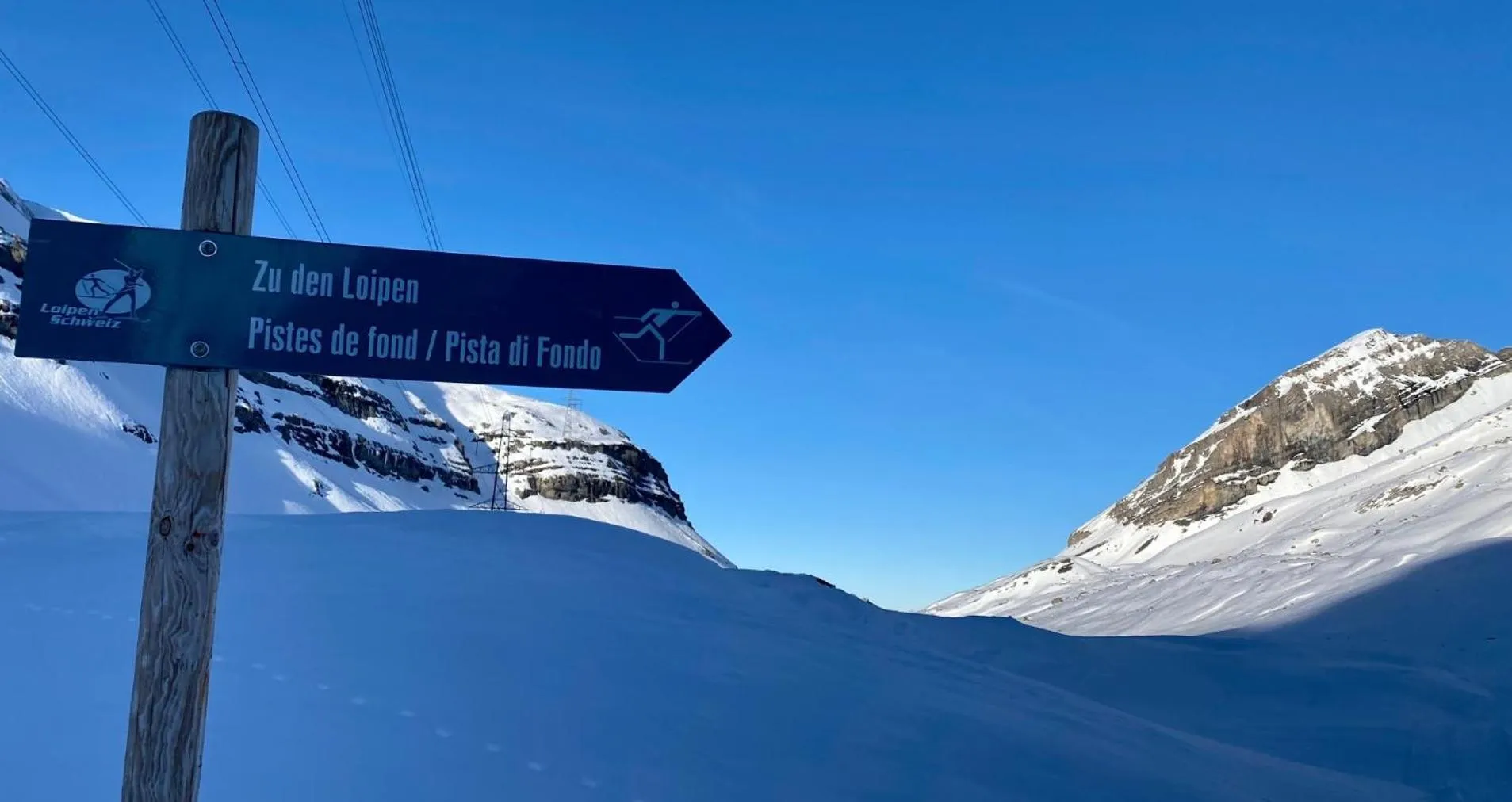 Staff in Hotel Regina Terme
