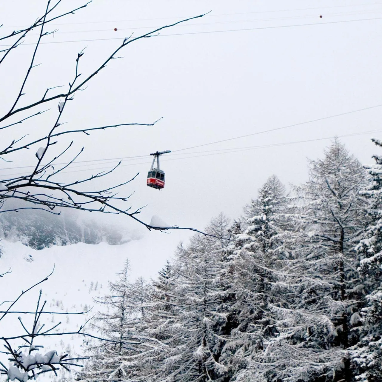 Activities in Hotel Regina Terme