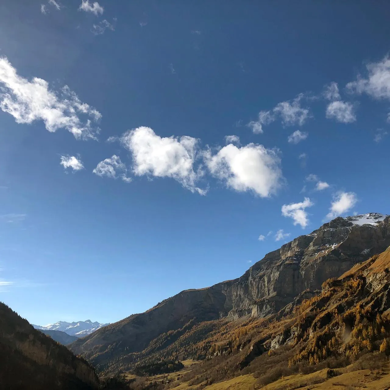 Natural landscape in Hotel Regina Terme