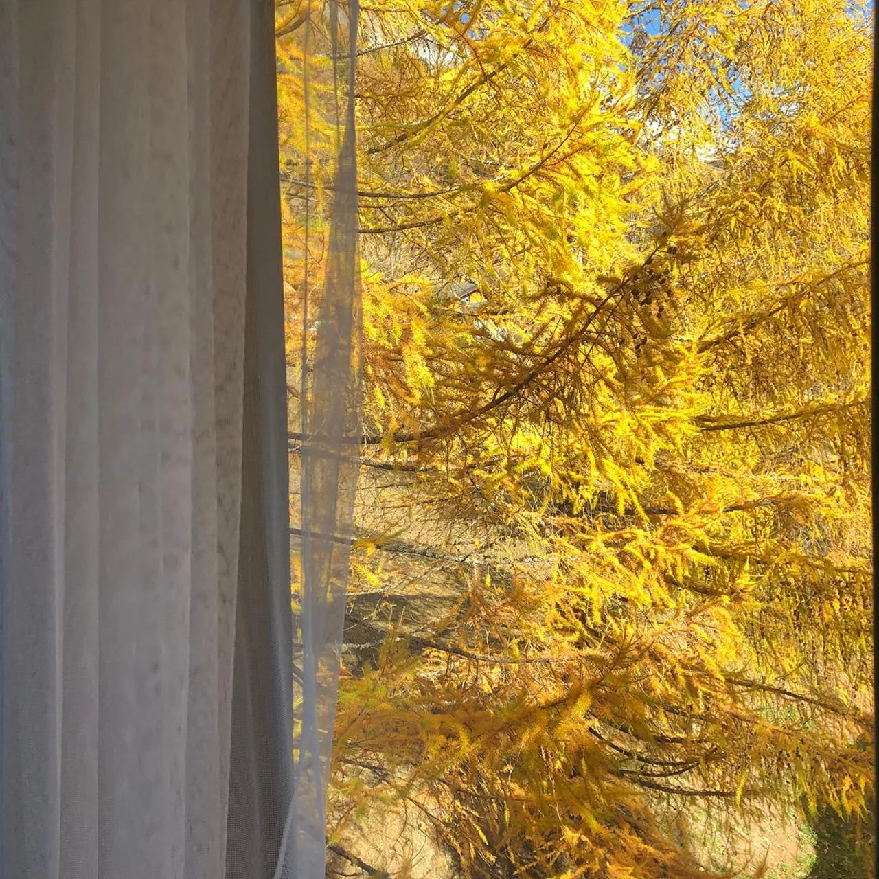 Natural landscape in Hotel Regina Terme