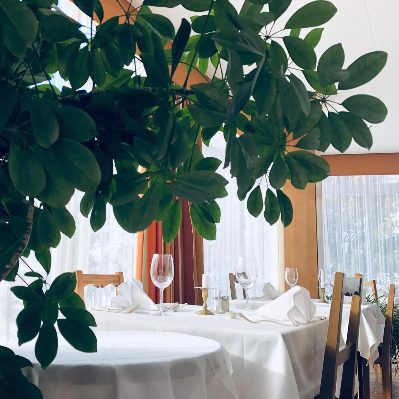 Restaurant/places to eat in Hotel Regina Terme