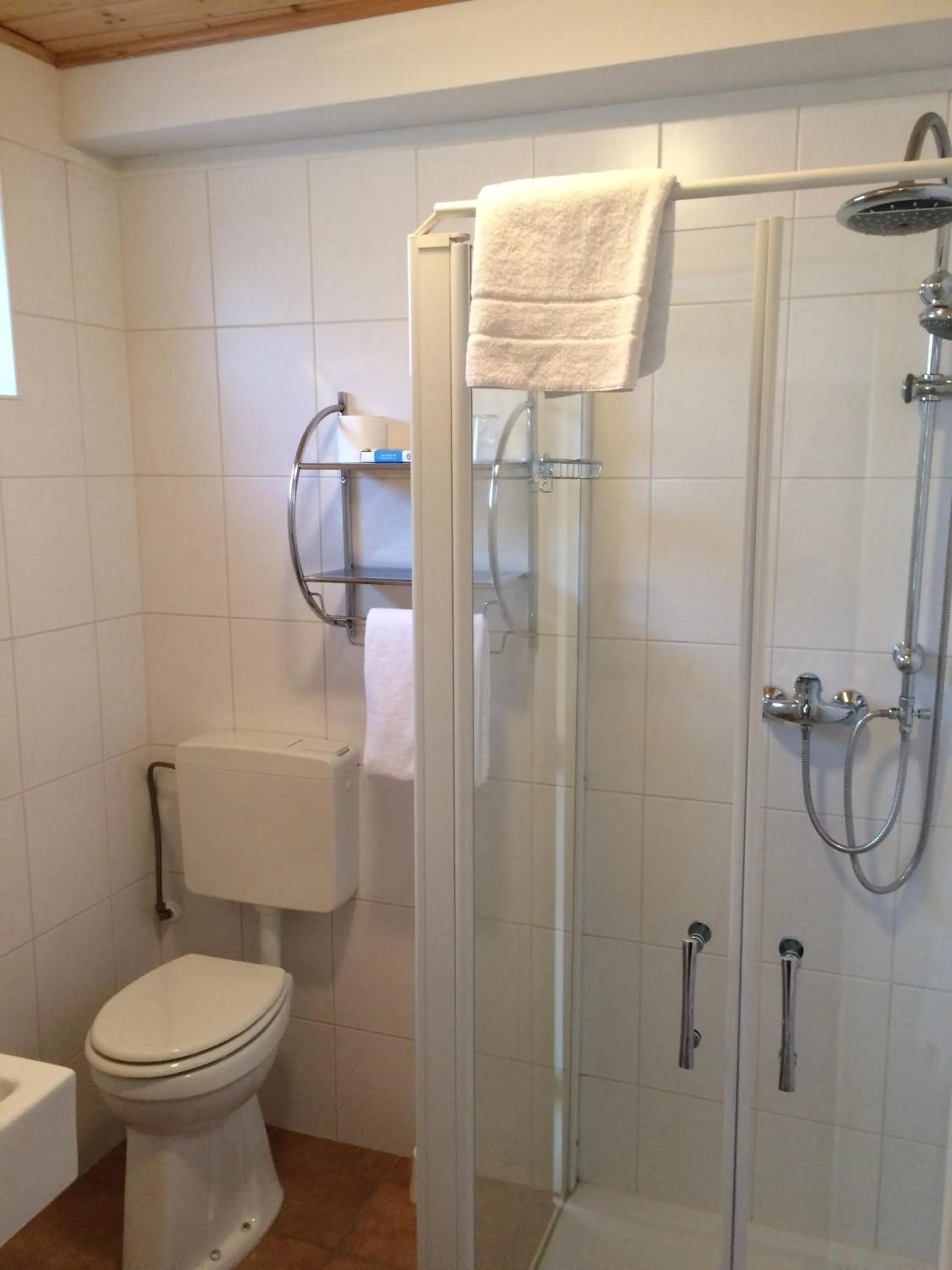 Toilet in Hotel Stadt Coblenz