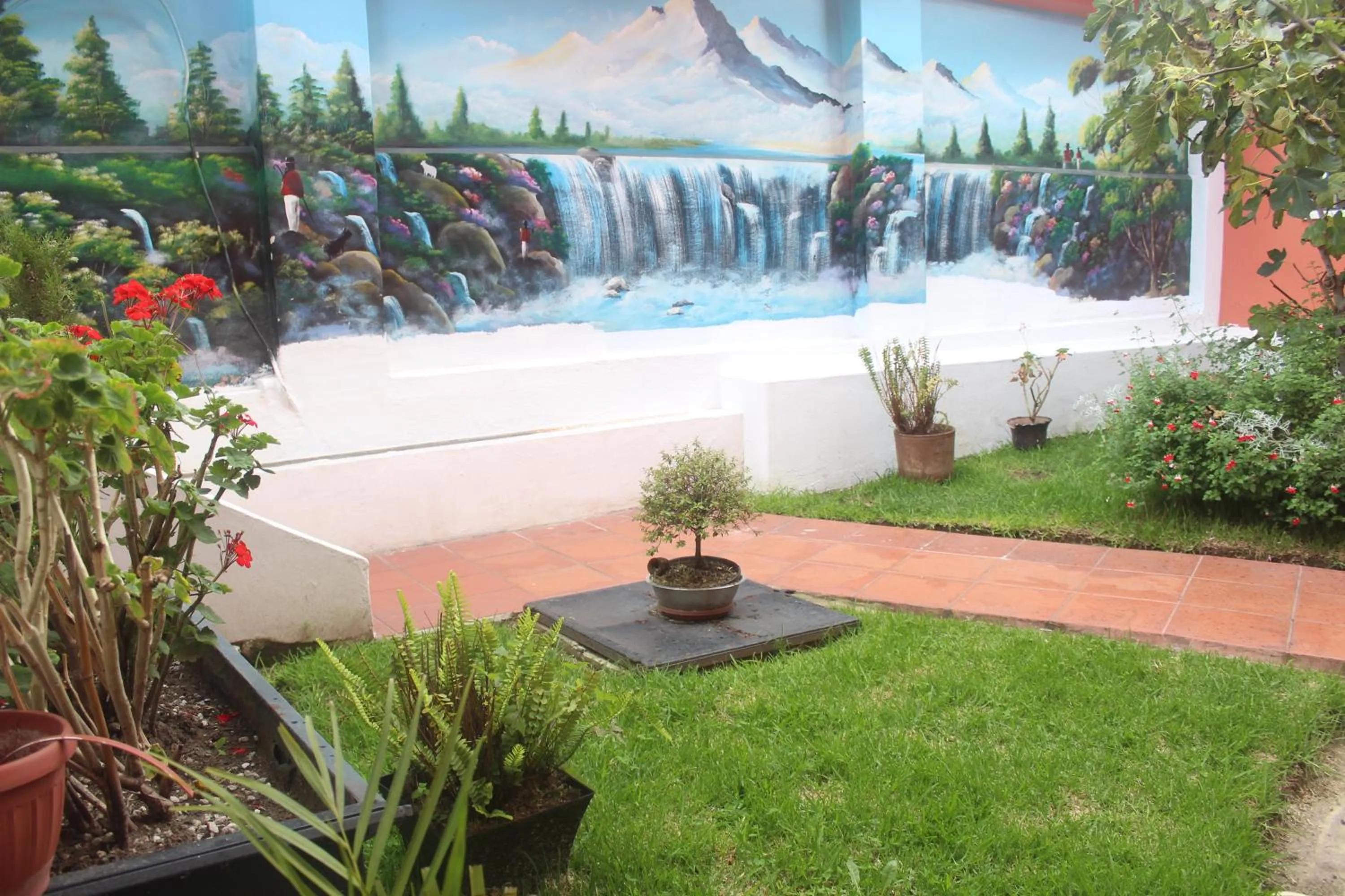 Garden in Hotel Andino