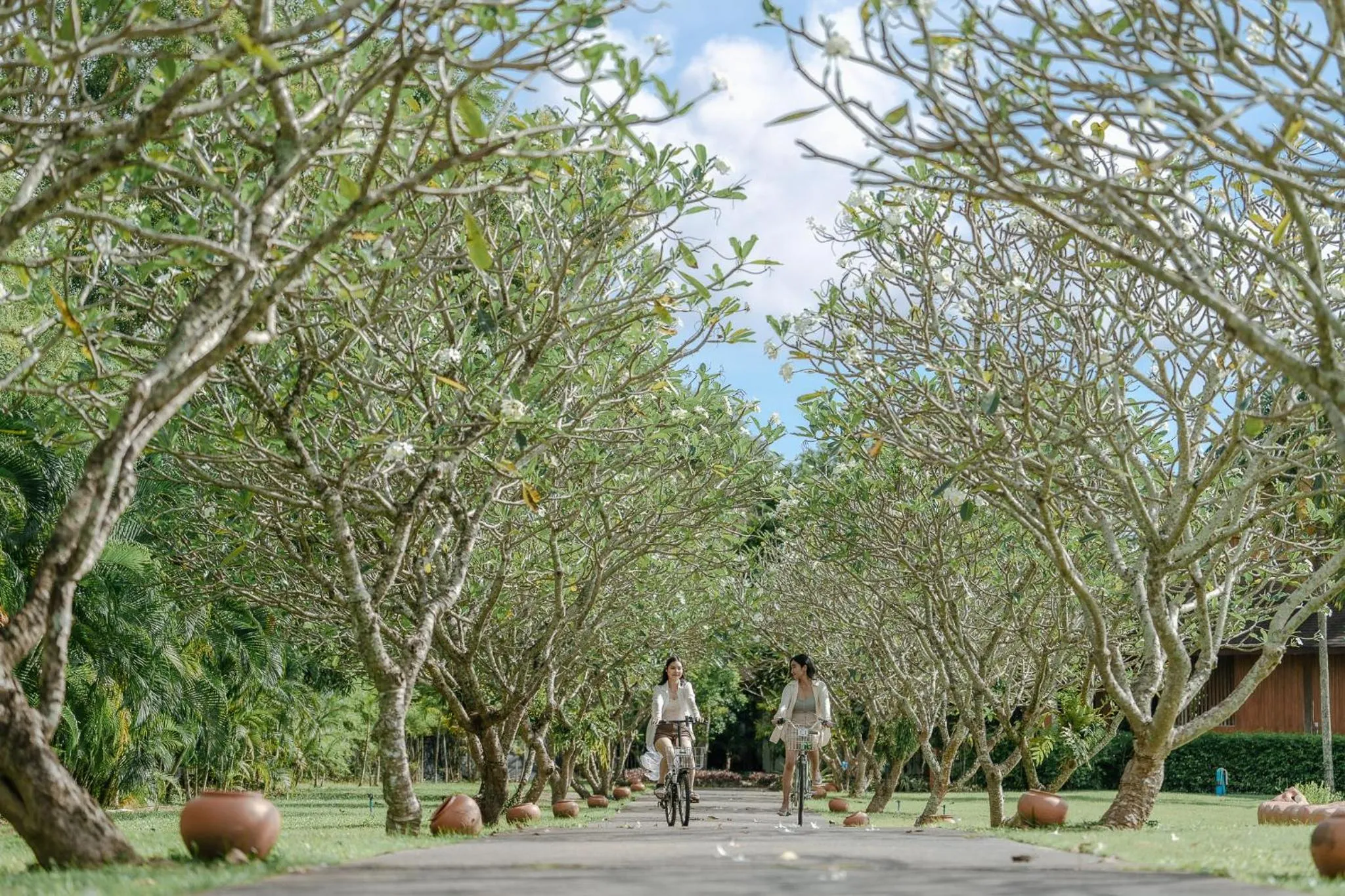 Activities in Splash Beach Resort Phuket Family-Friendly Water Park Resort Near Phuket Airport