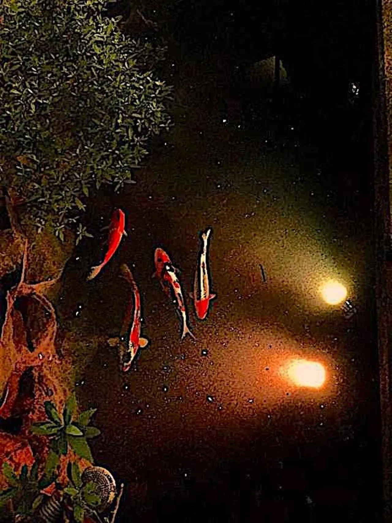 Garden view in Gionkoh