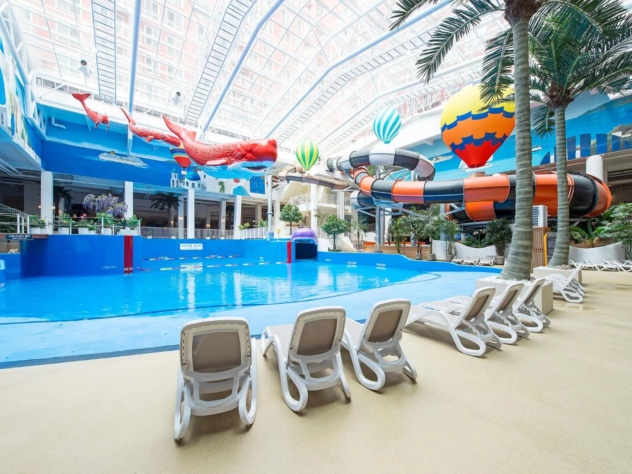 Swimming pool in Hotel Park Habio