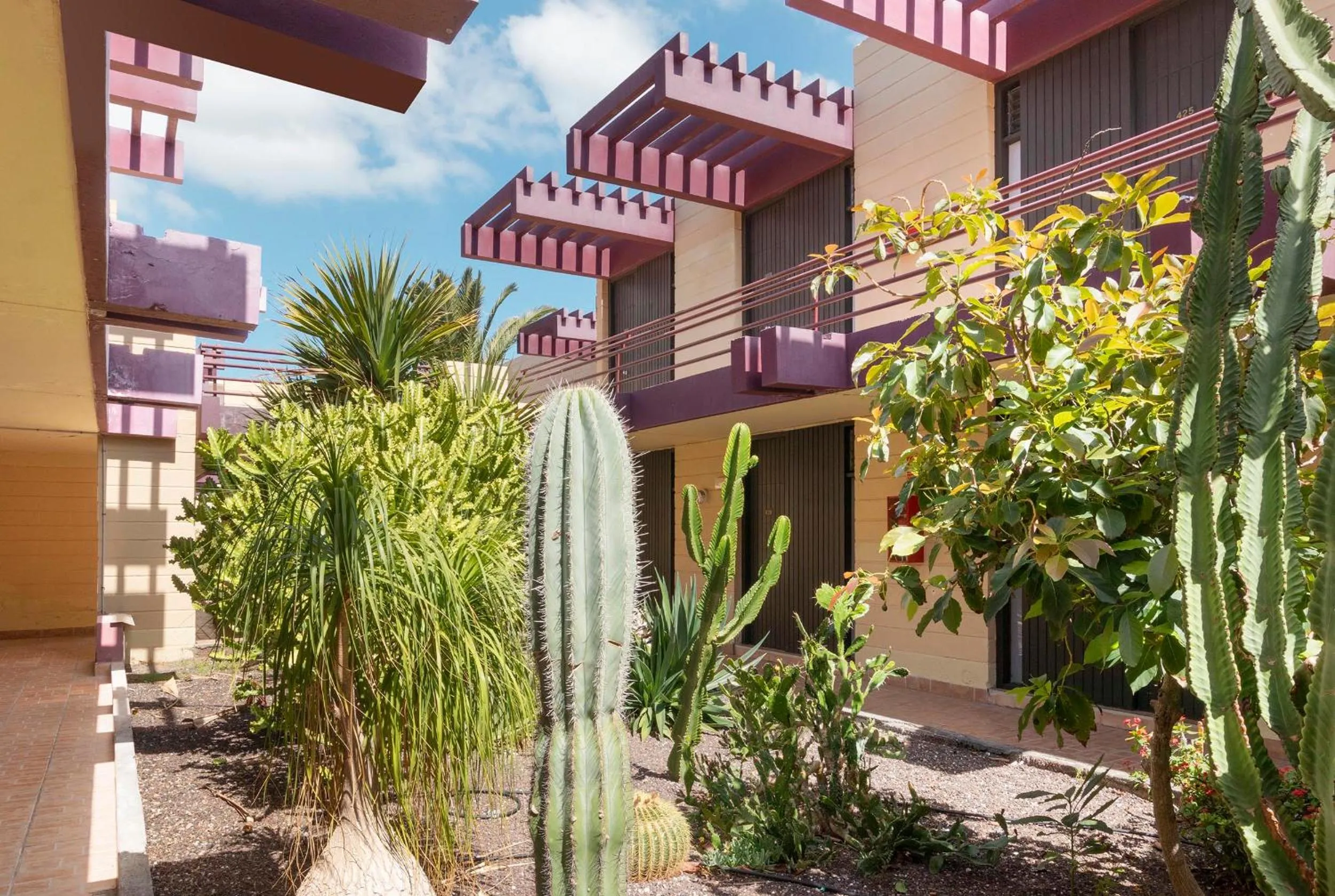 Garden in Hotel Palia Don Pedro