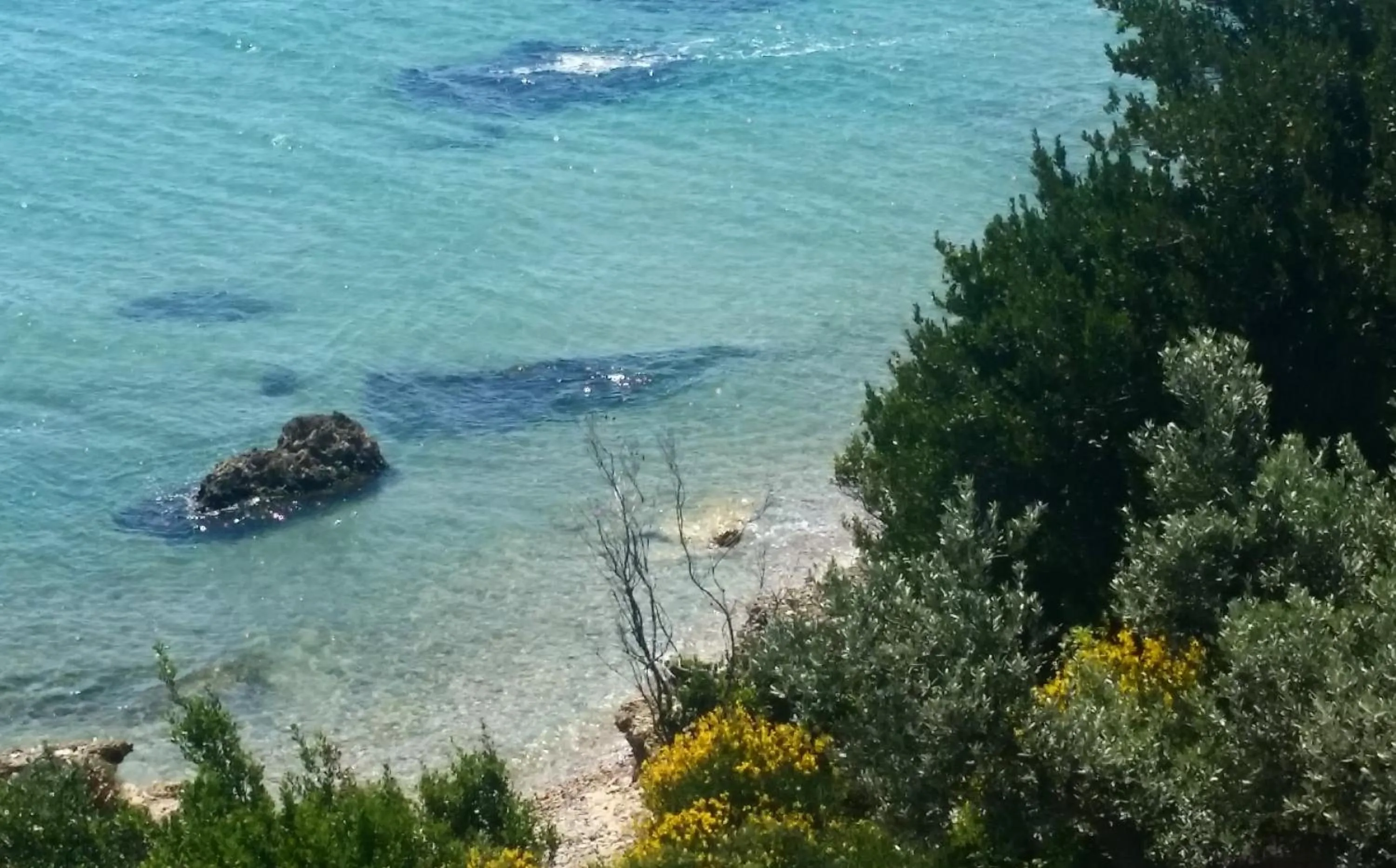 Beach in B&B alla Canale
