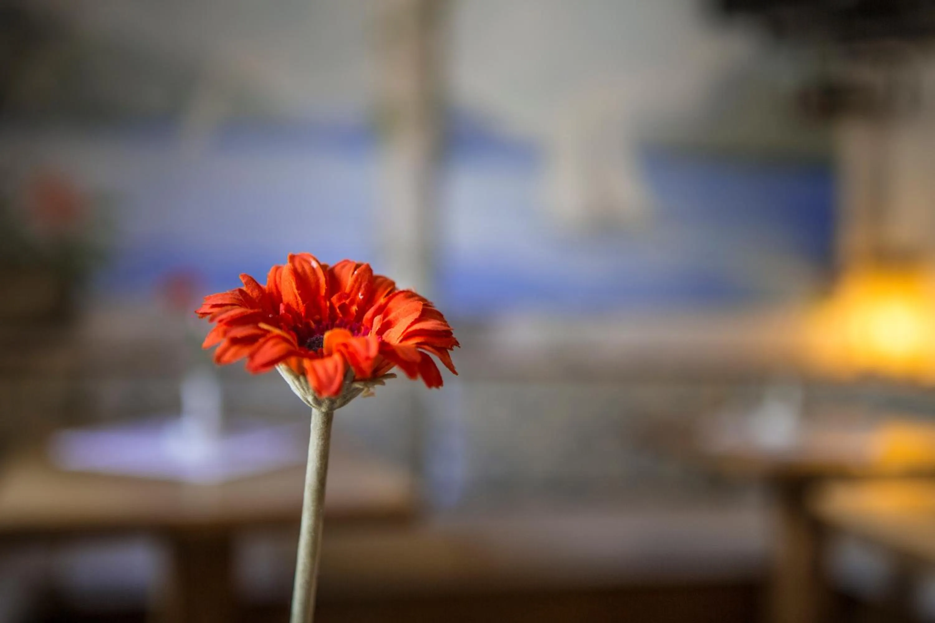 Other in Hotel Al Molino