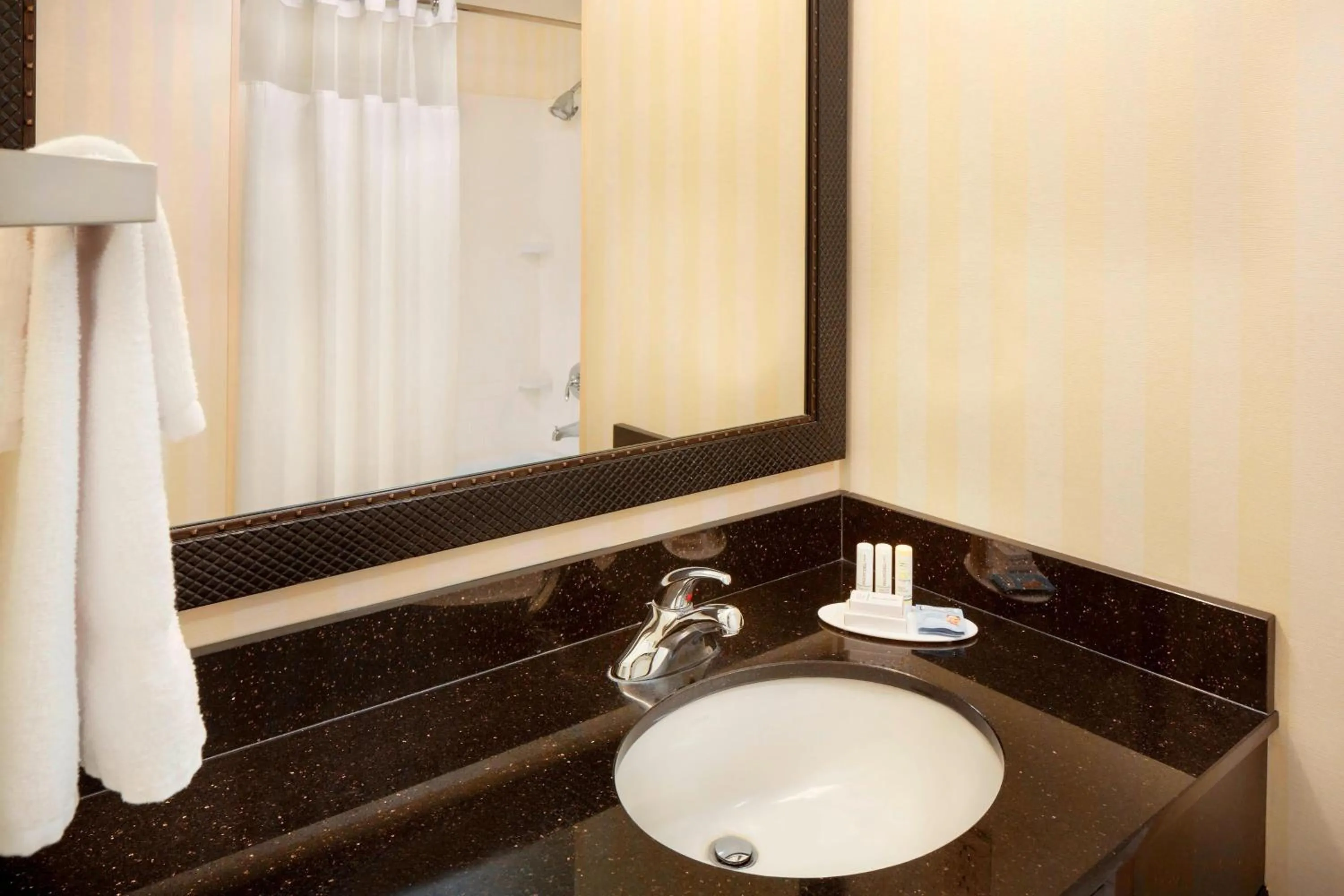 Bathroom in Fairfield Inn & Suites by Marriott Selma Kingsburg