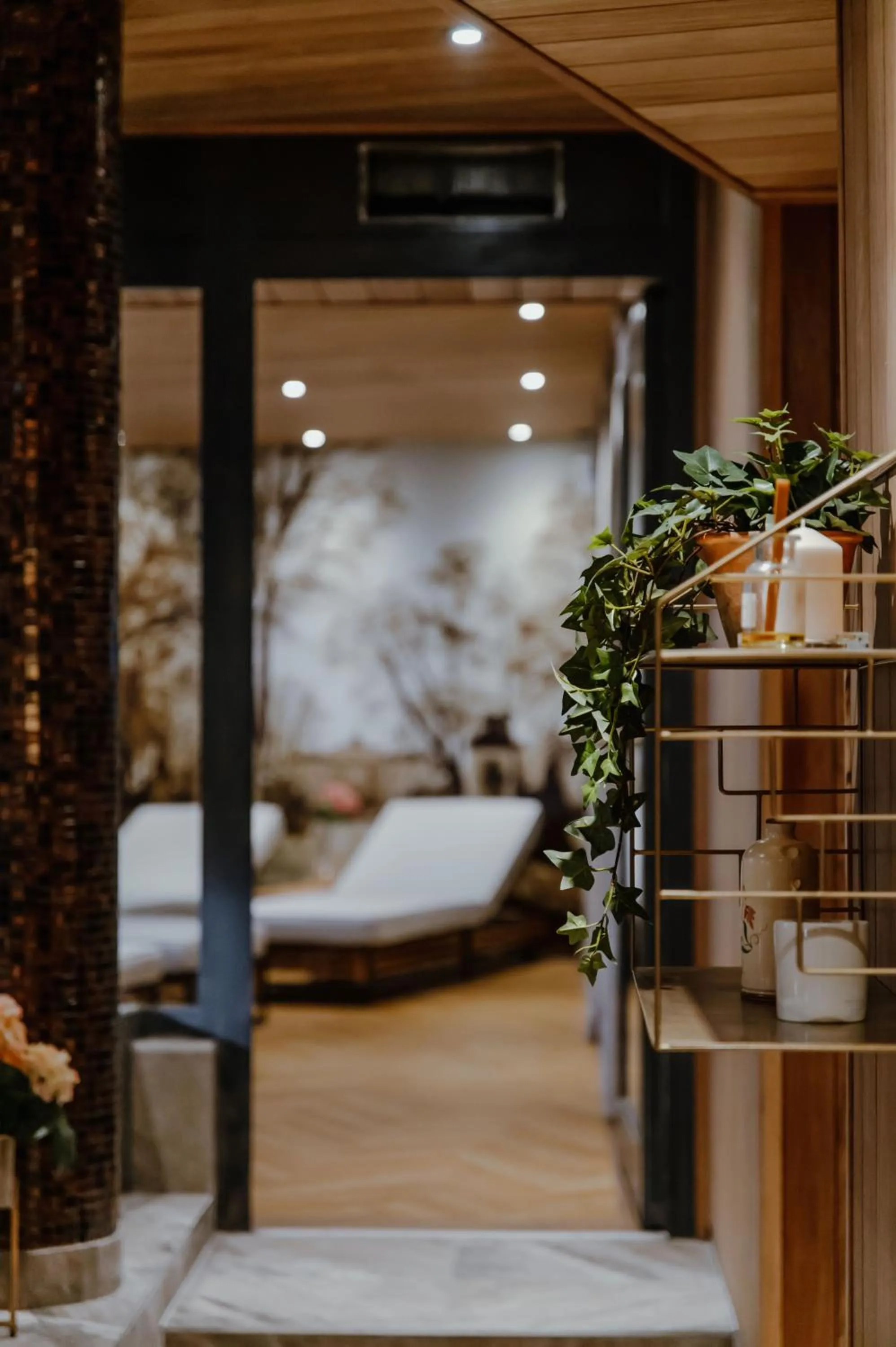 Spa and wellness centre/facilities, Bed in Haga Slott