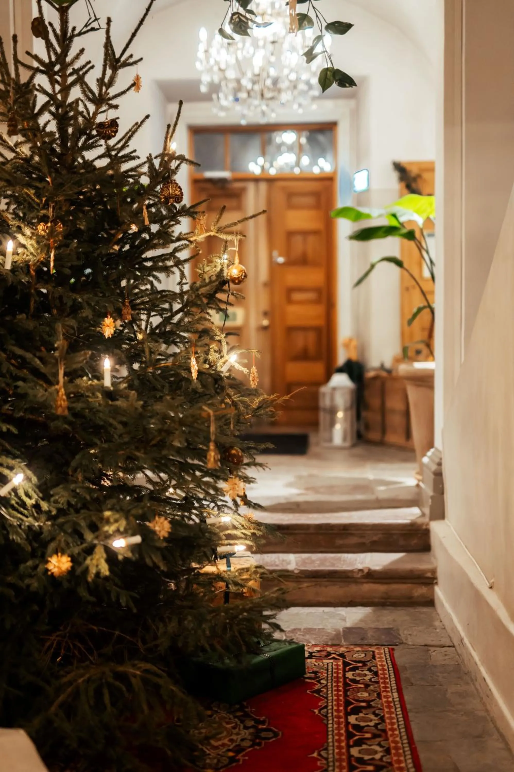 Property building in Haga Slott