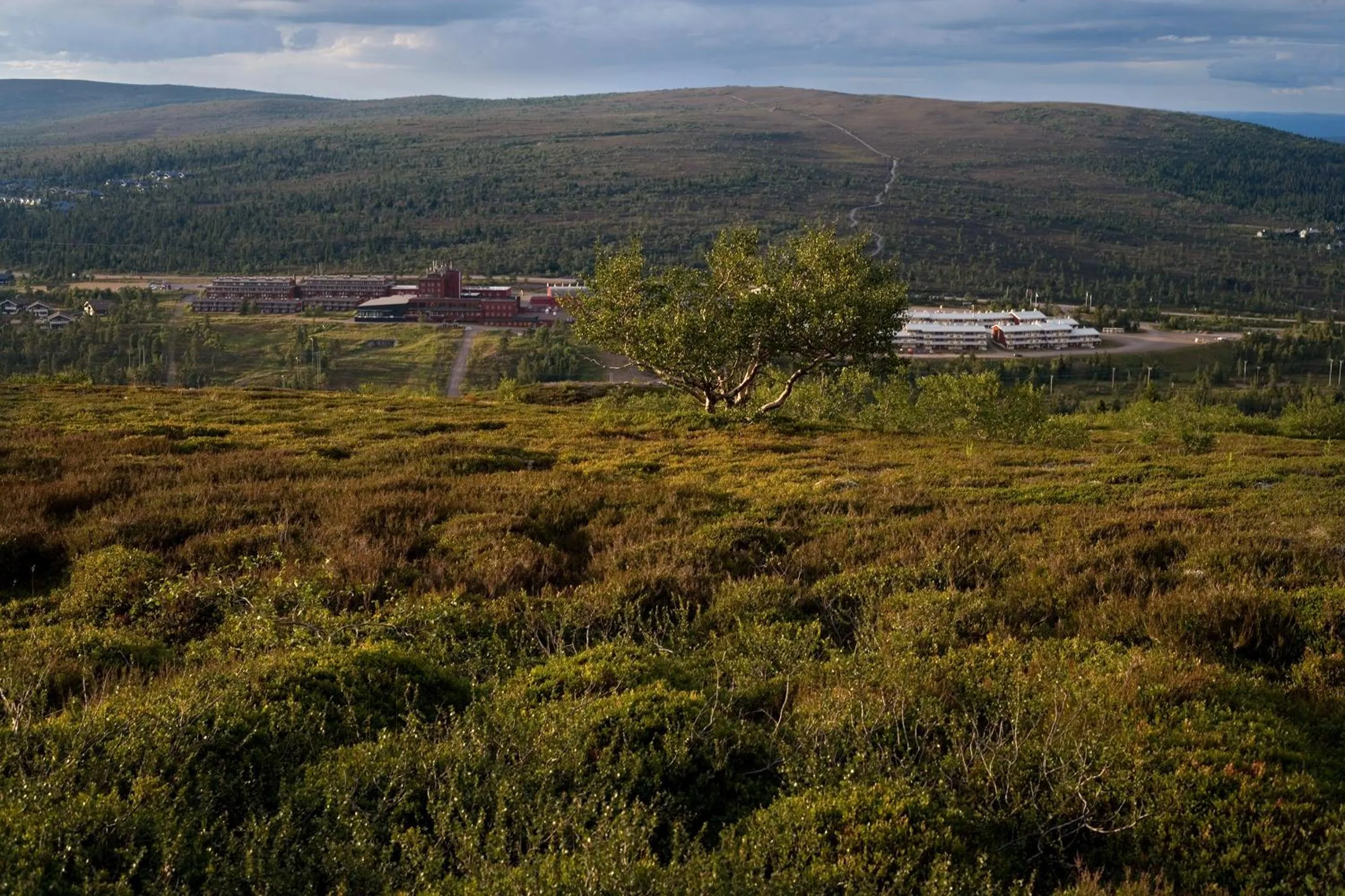 Day in Sälens Högfjällshotell