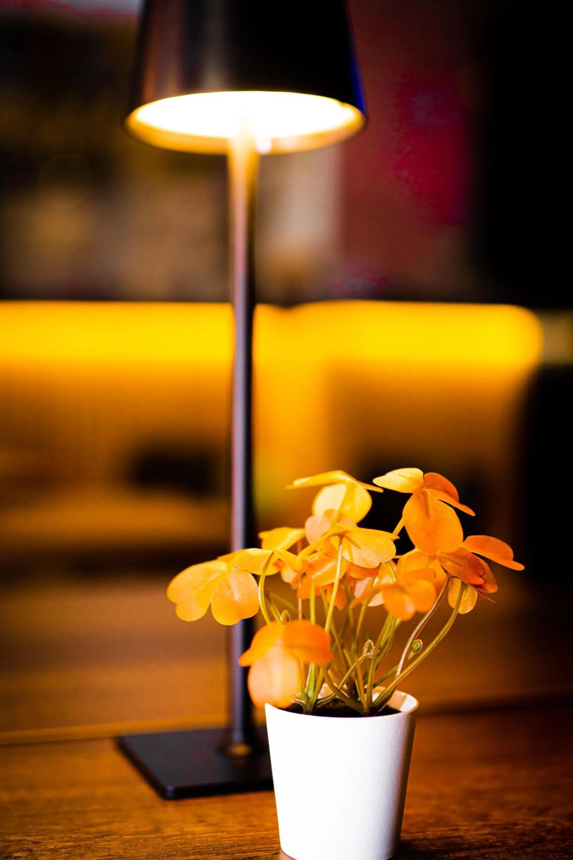 Restaurant/places to eat in Hotel Professor Leuven Centrum