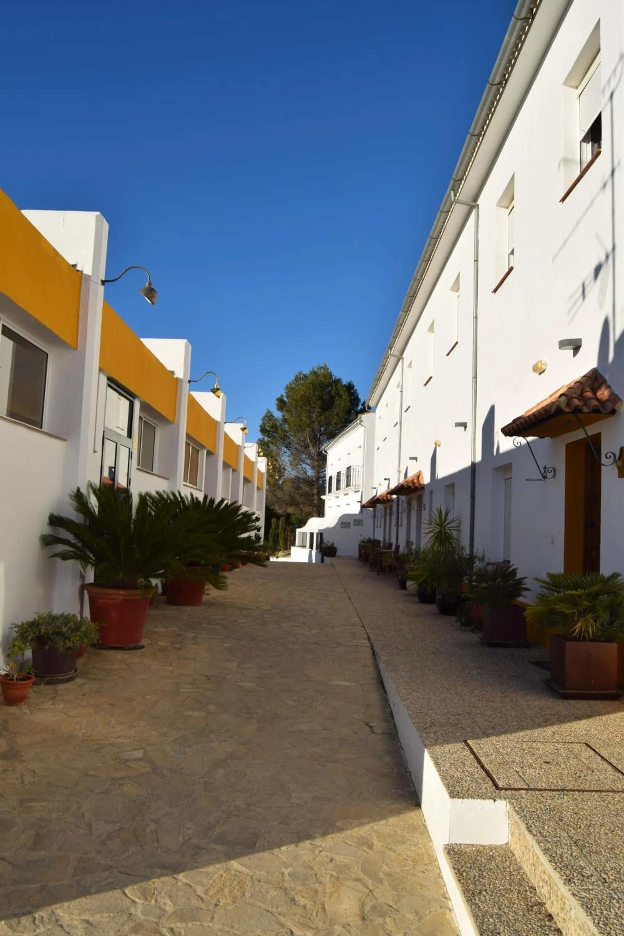 Patio in Hotel Las Errizas by Vivere Stays