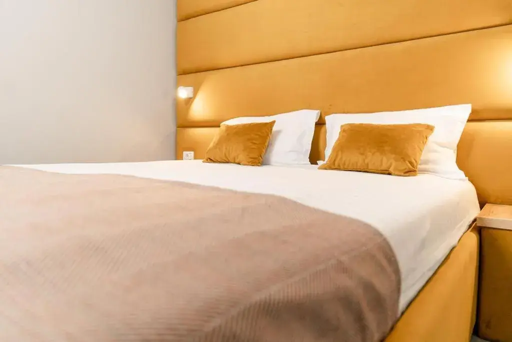 Double Room - single occupancy in Pensiunea Elisei Double Room - single occupancy in Pensiunea Elisei