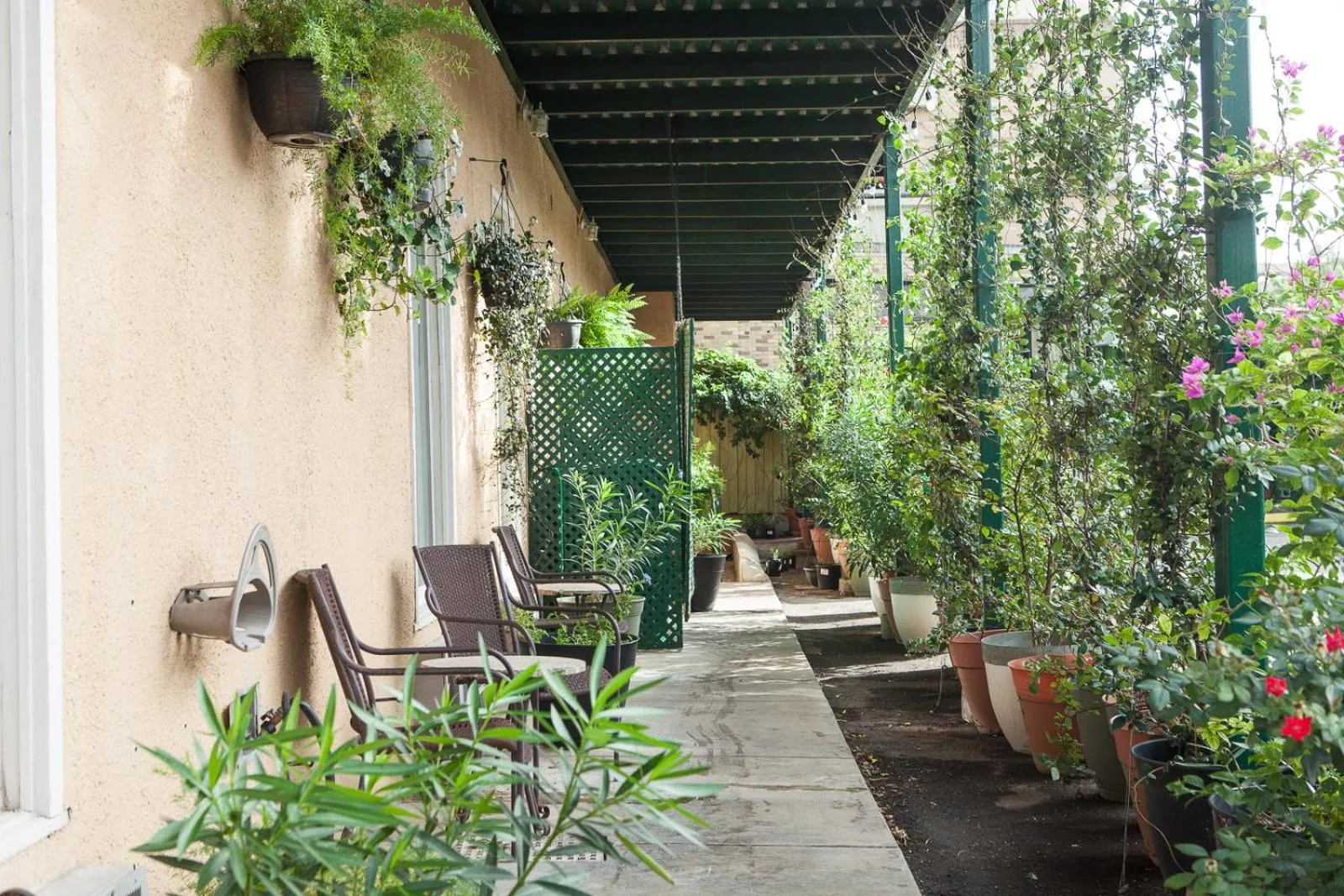 Patio in O'Brien Riverwalk Boutique Hotel